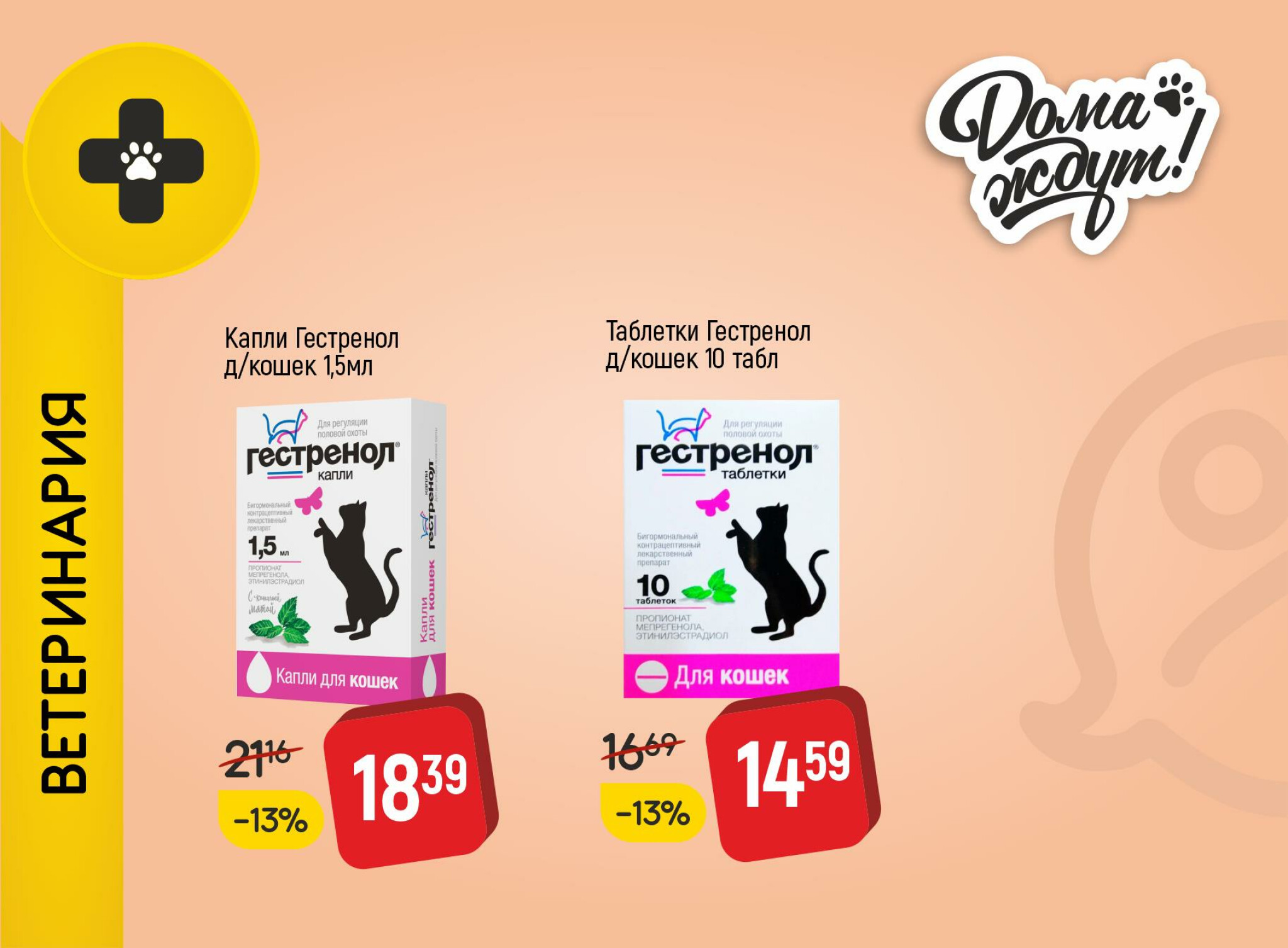 Акционные предложения! 1  - 31 Июля 2025 13