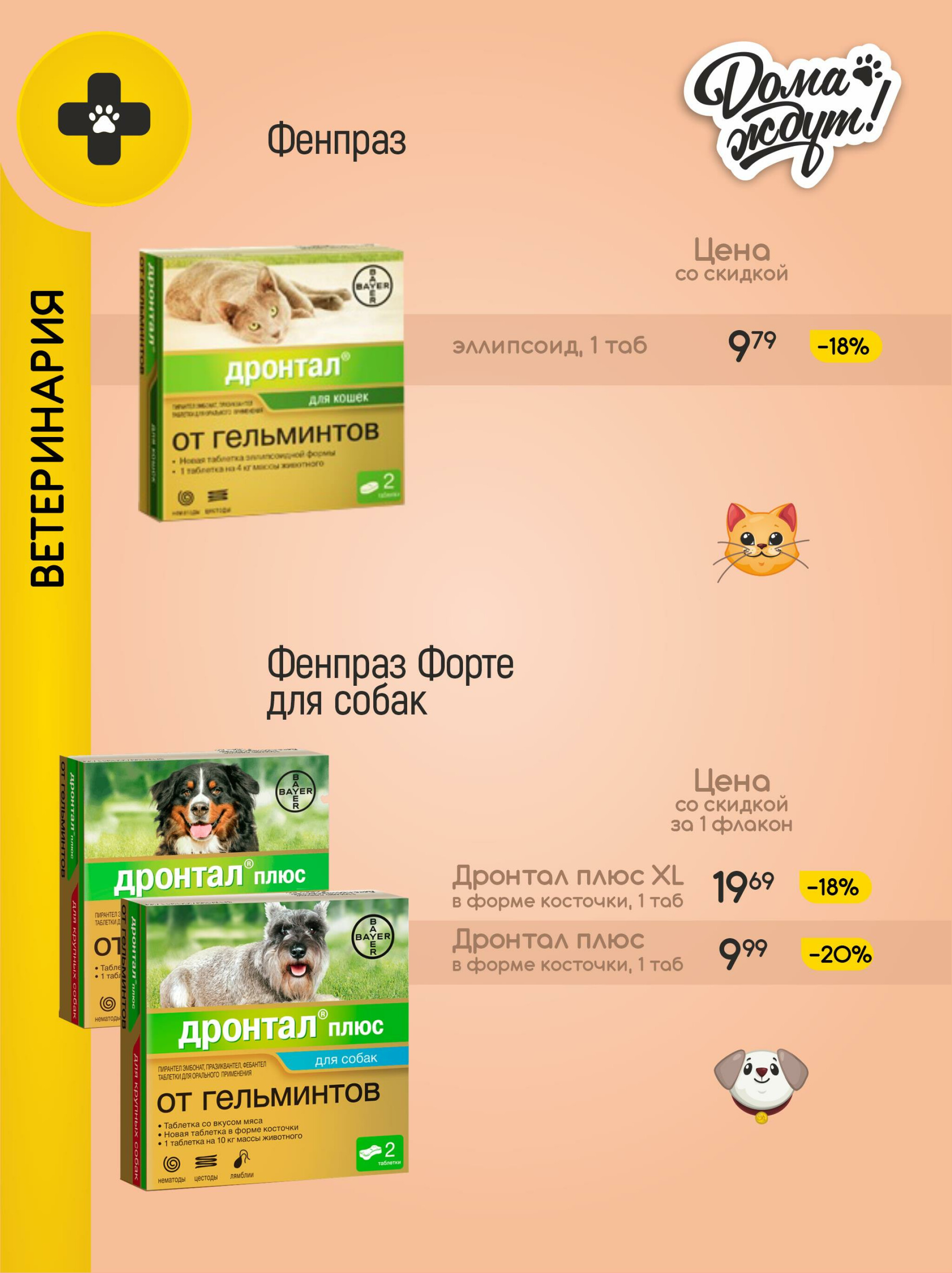 Акционные предложения! 1  - 31 Июля 2025 10