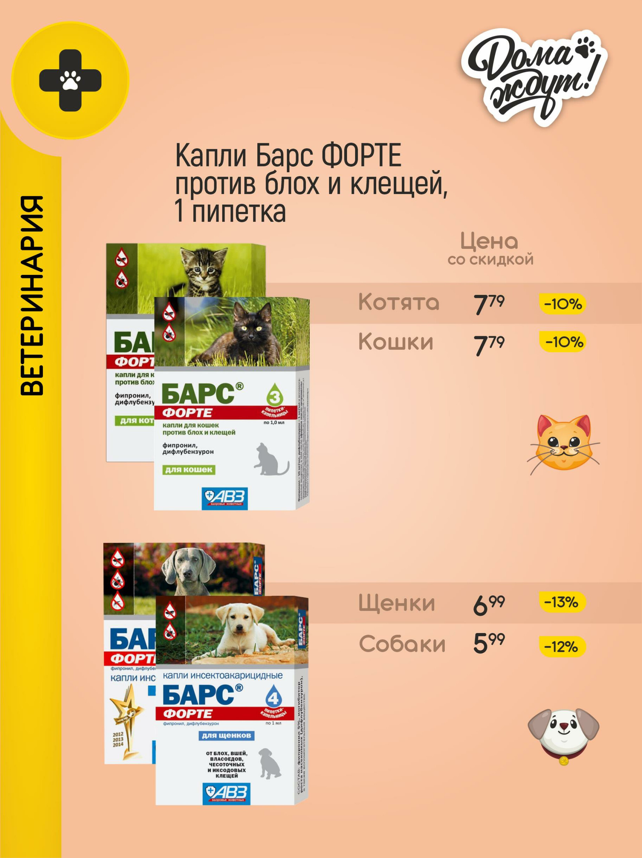 Акционные предложения! 1  - 31 Июля 2025 8