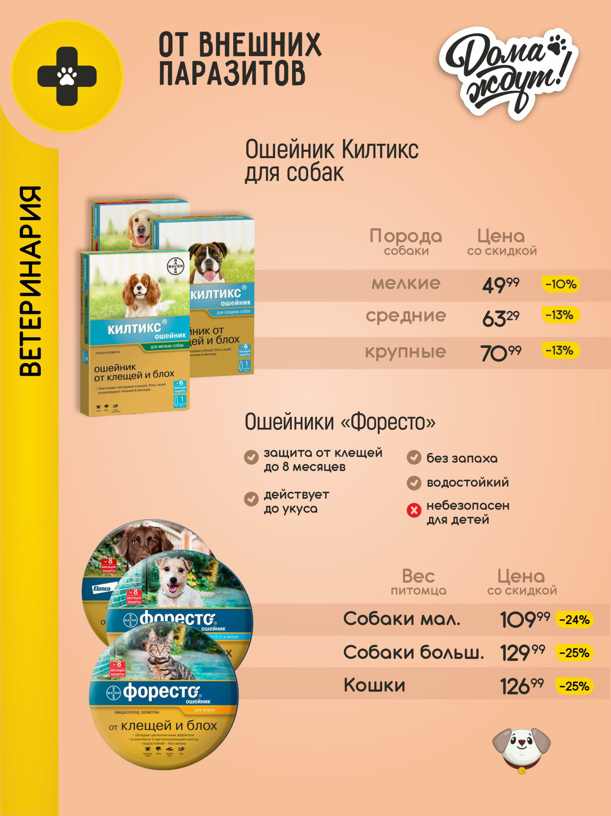 Акционные предложения! 1  - 31 Июля 2025 11