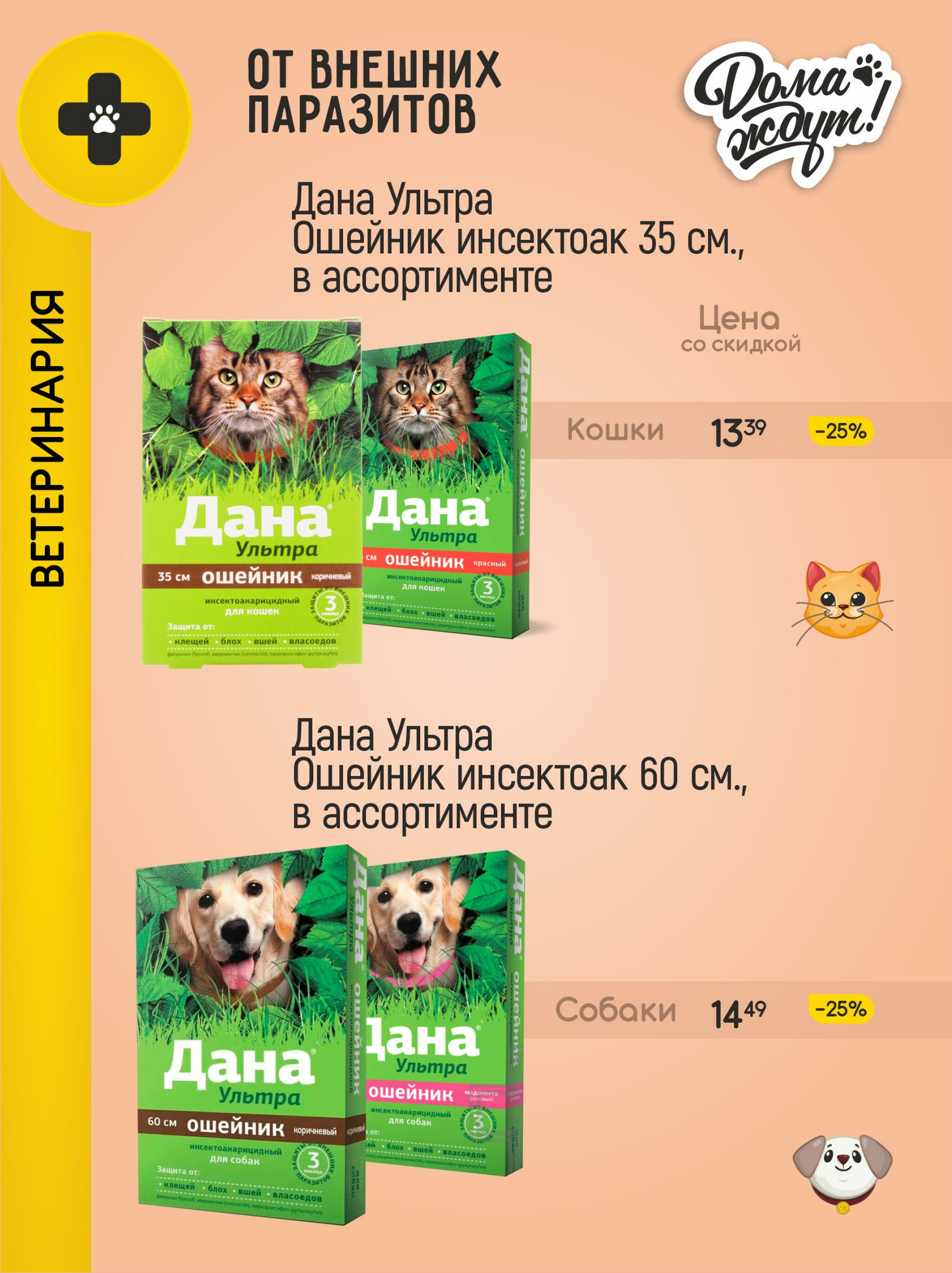 Акционные предложения! 1  - 31 Июля 2025 12