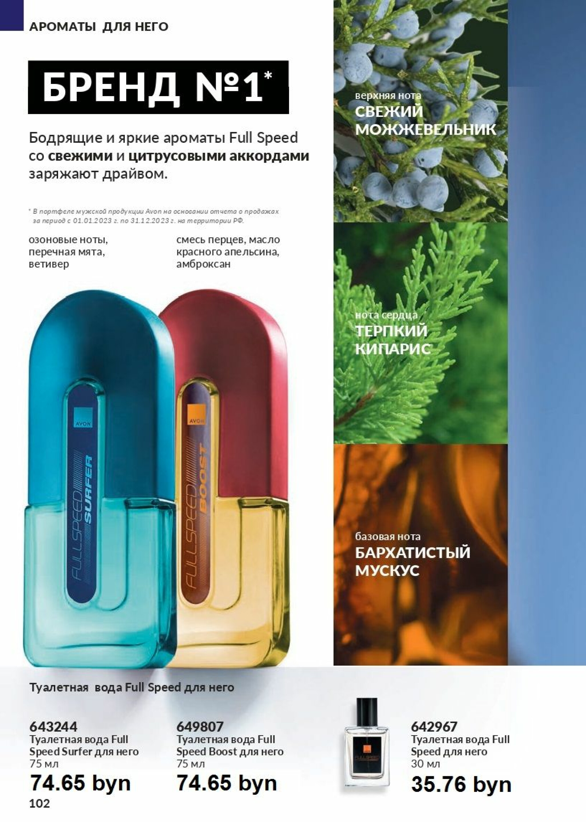 Действующий каталог Avon 1  - 31 Августа 2025 102