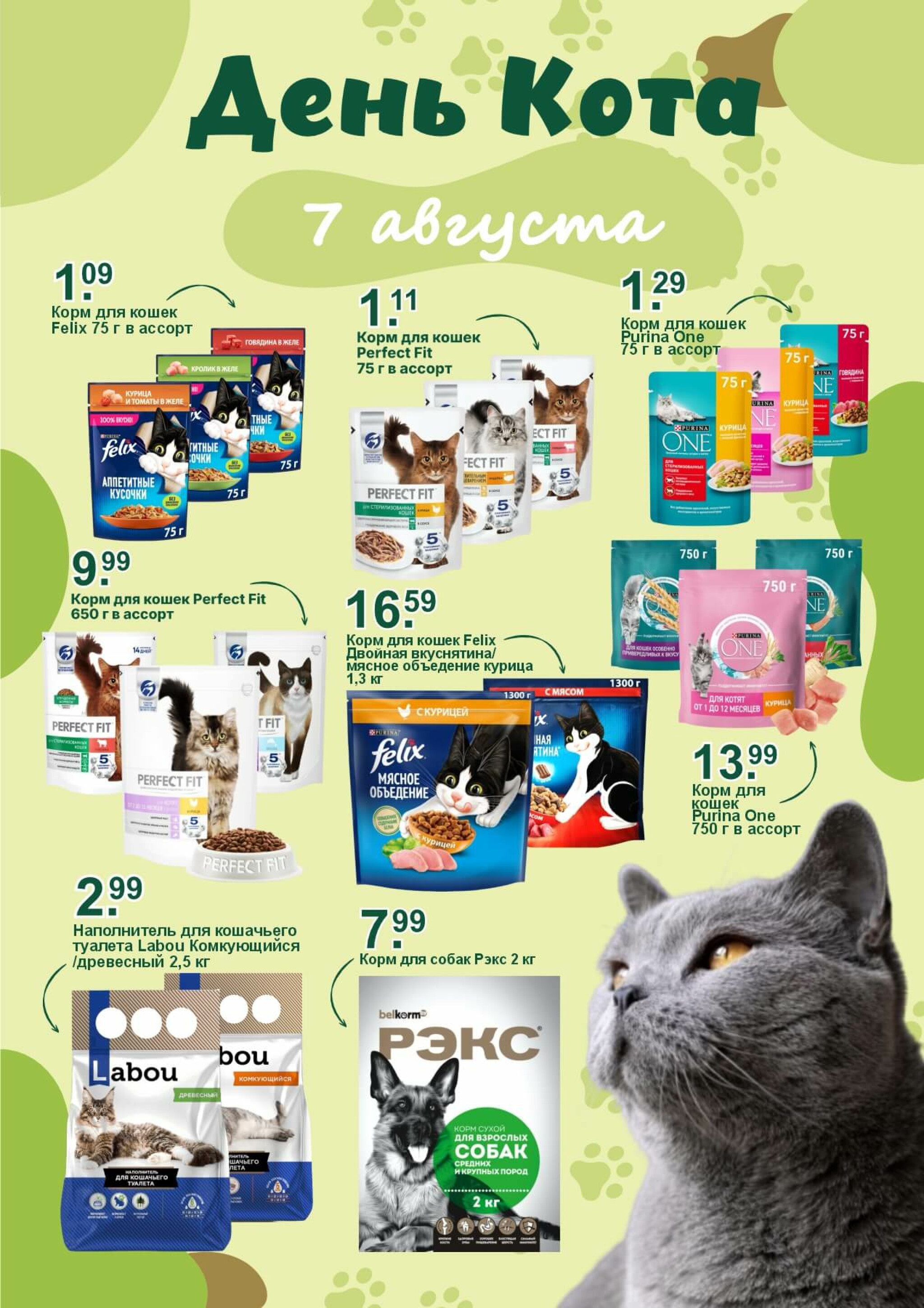 День кота! 7 Августа 2025 1