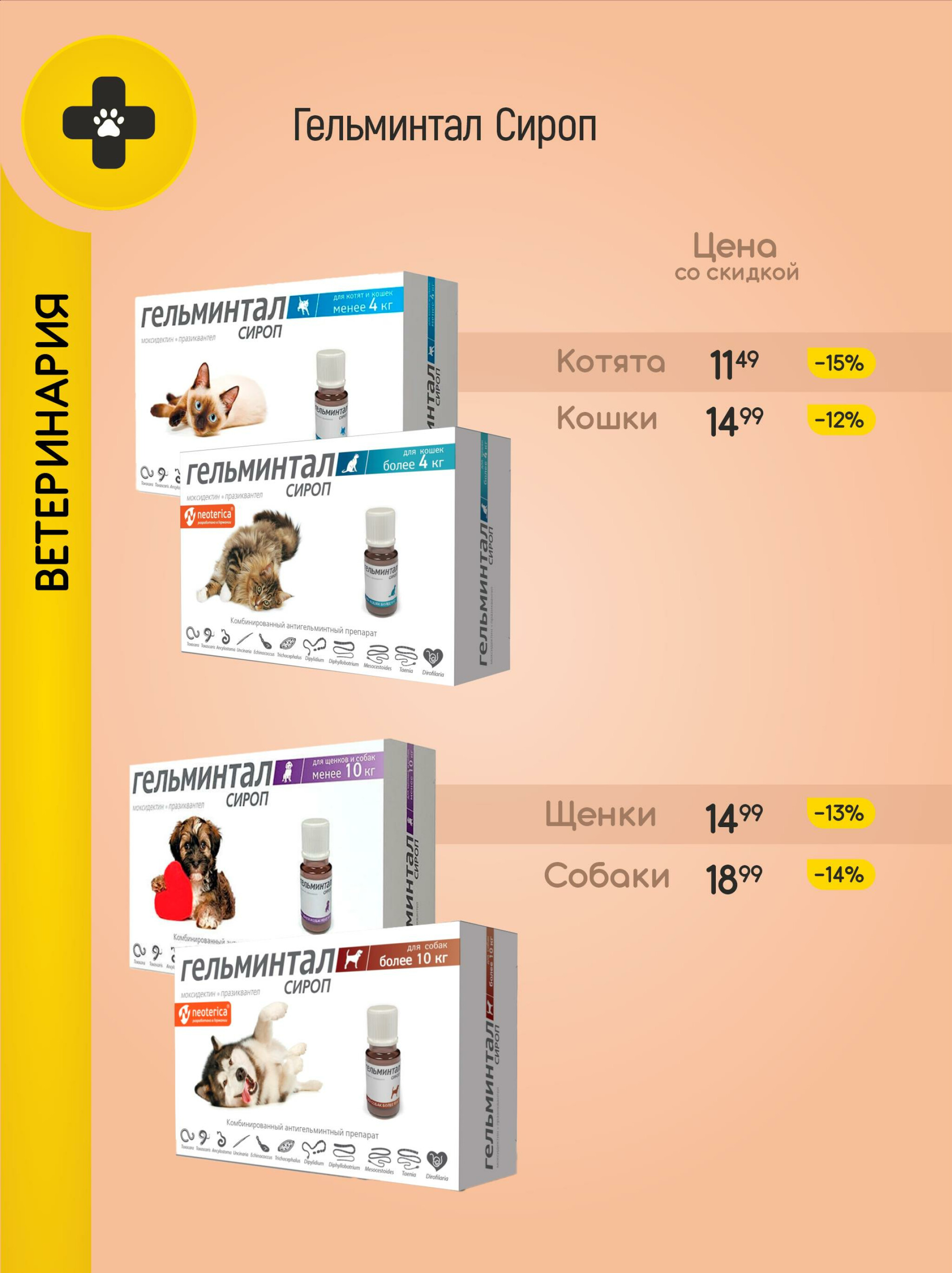 Акционные предложения! 1  - 31 Августа 2025 12