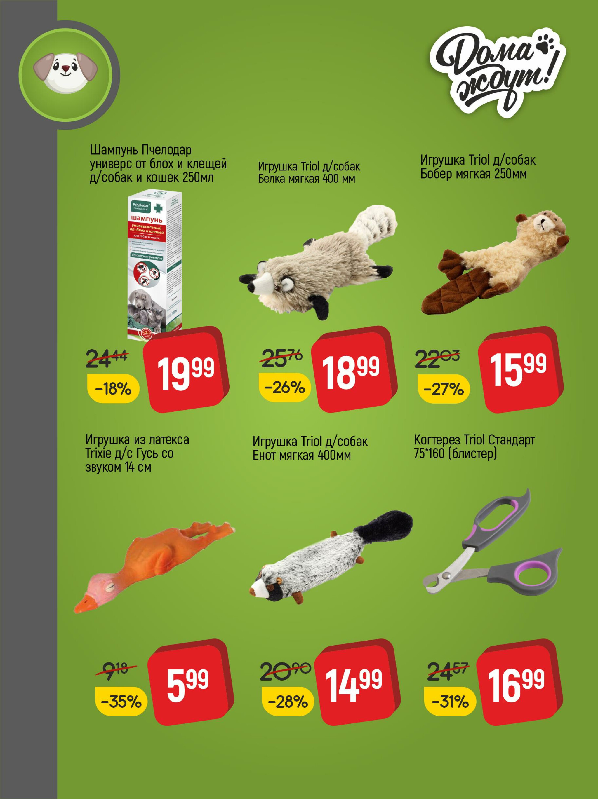 Акционные предложения! 1  - 31 Августа 2025 7