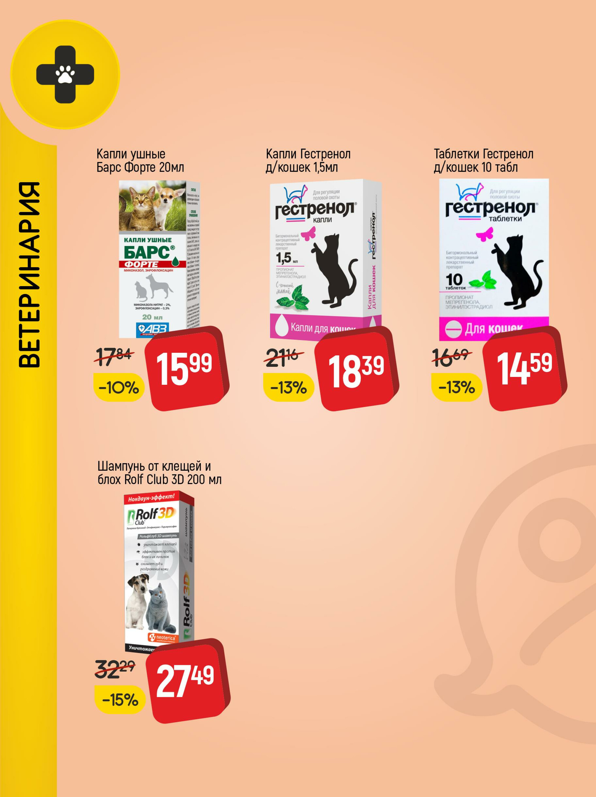 Акционные предложения! 1  - 31 Августа 2025 10