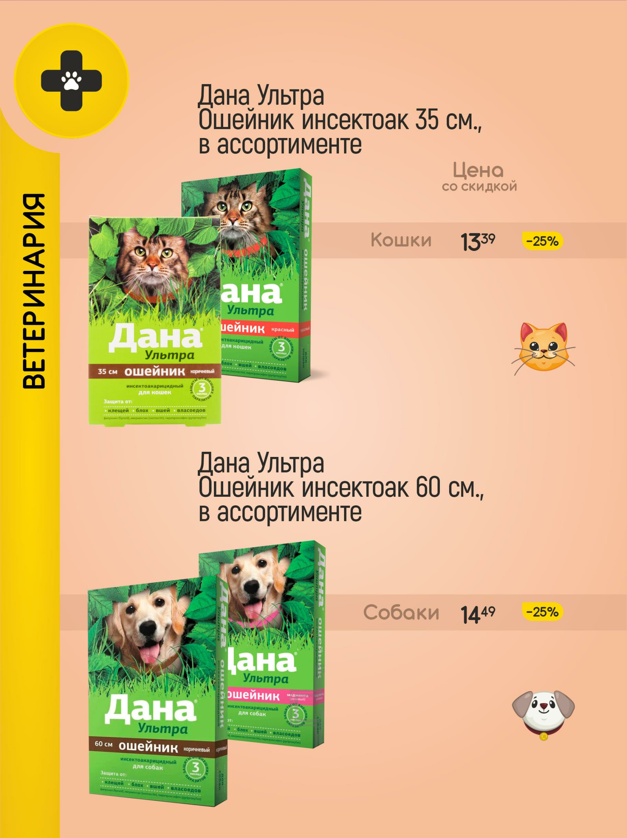 Акционные предложения! 1  - 31 Августа 2025 13