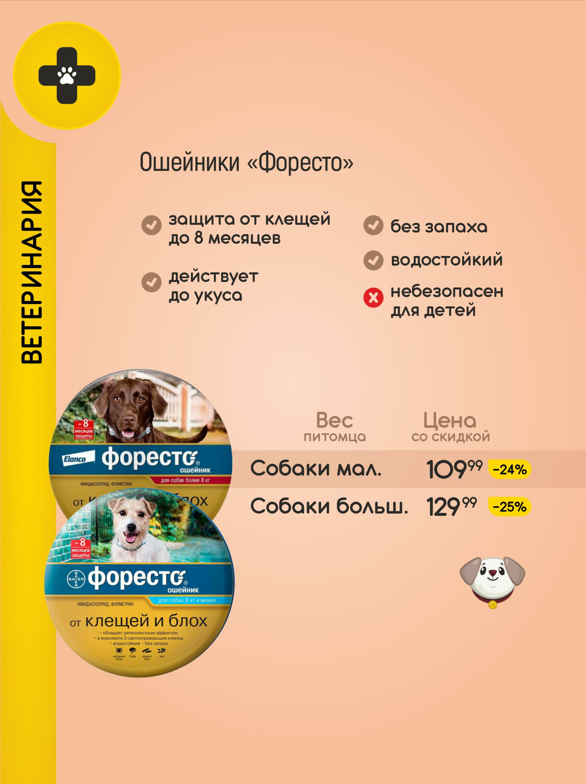 Акционные предложения! 1  - 31 Августа 2025 14