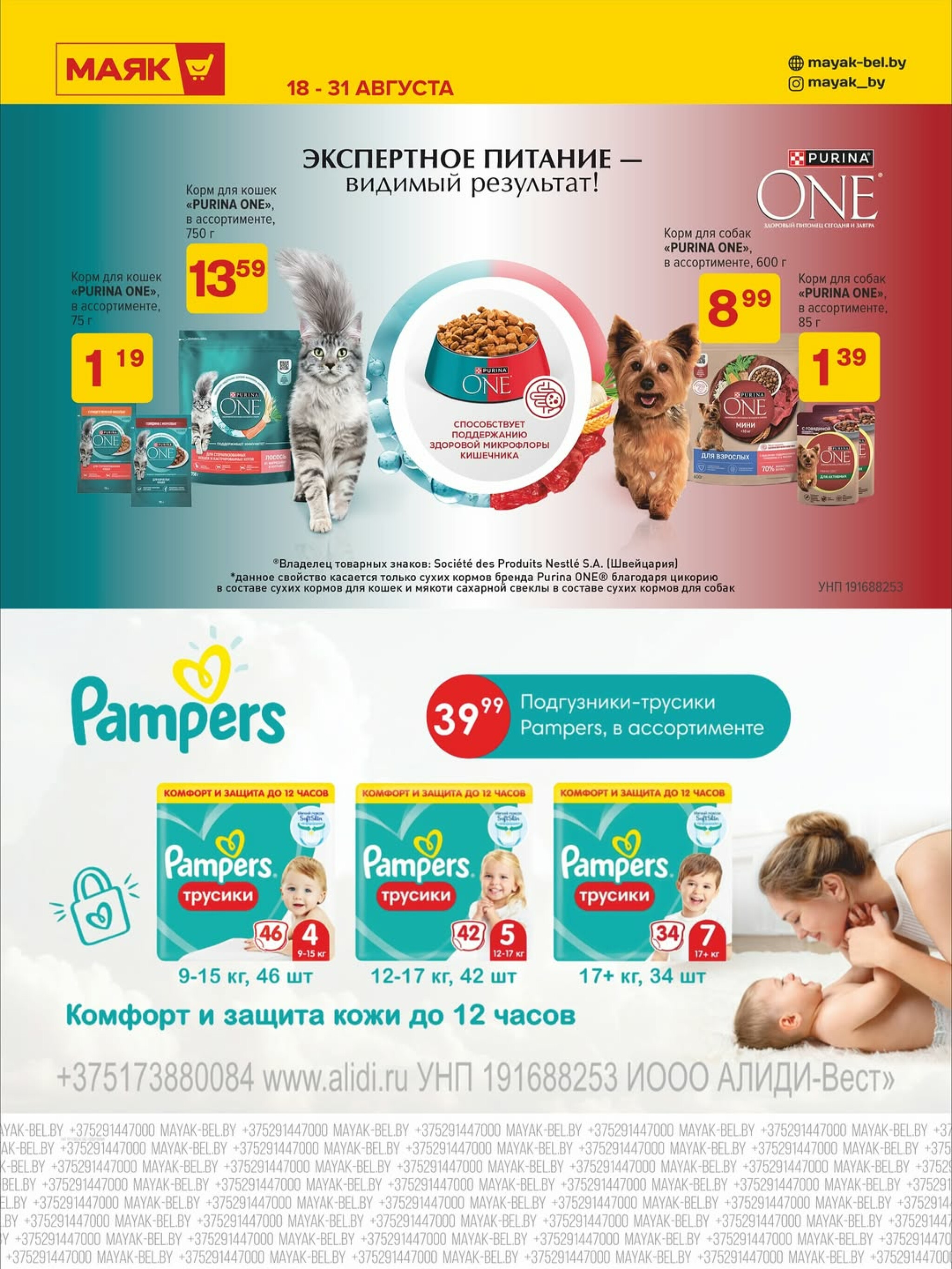 Акционная листовка 18  - 31 Августа 2025 2