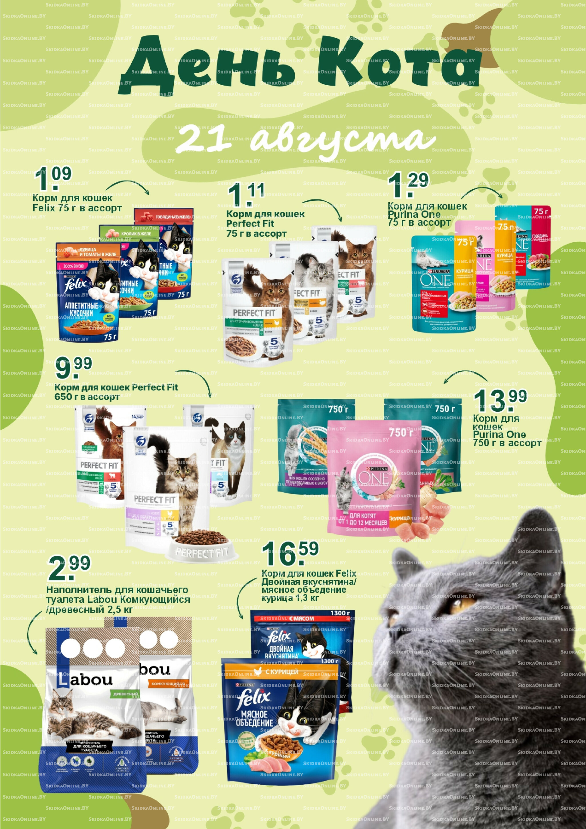 День кота! 21 Августа 2025 1