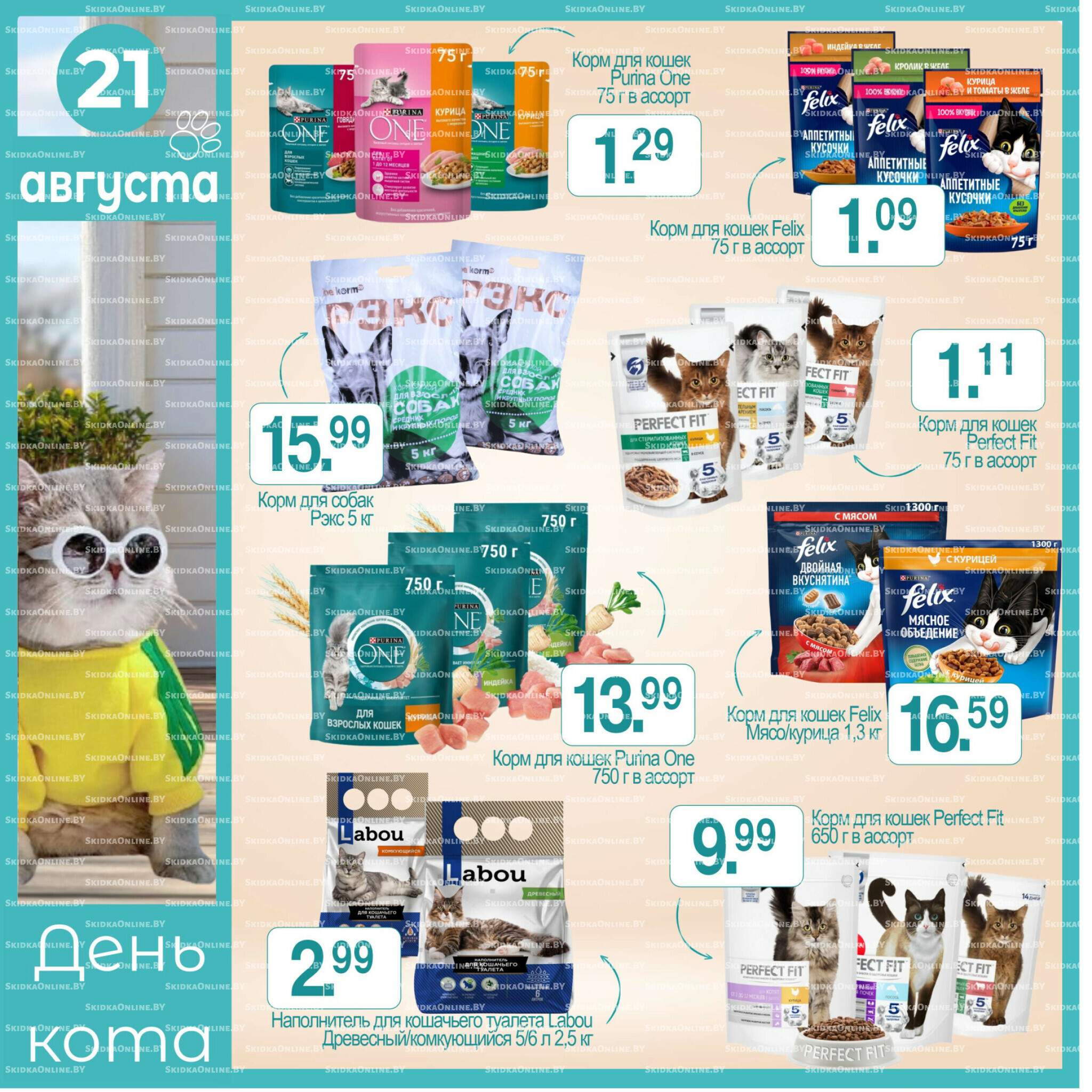 День кота! 21 Августа 2025 1