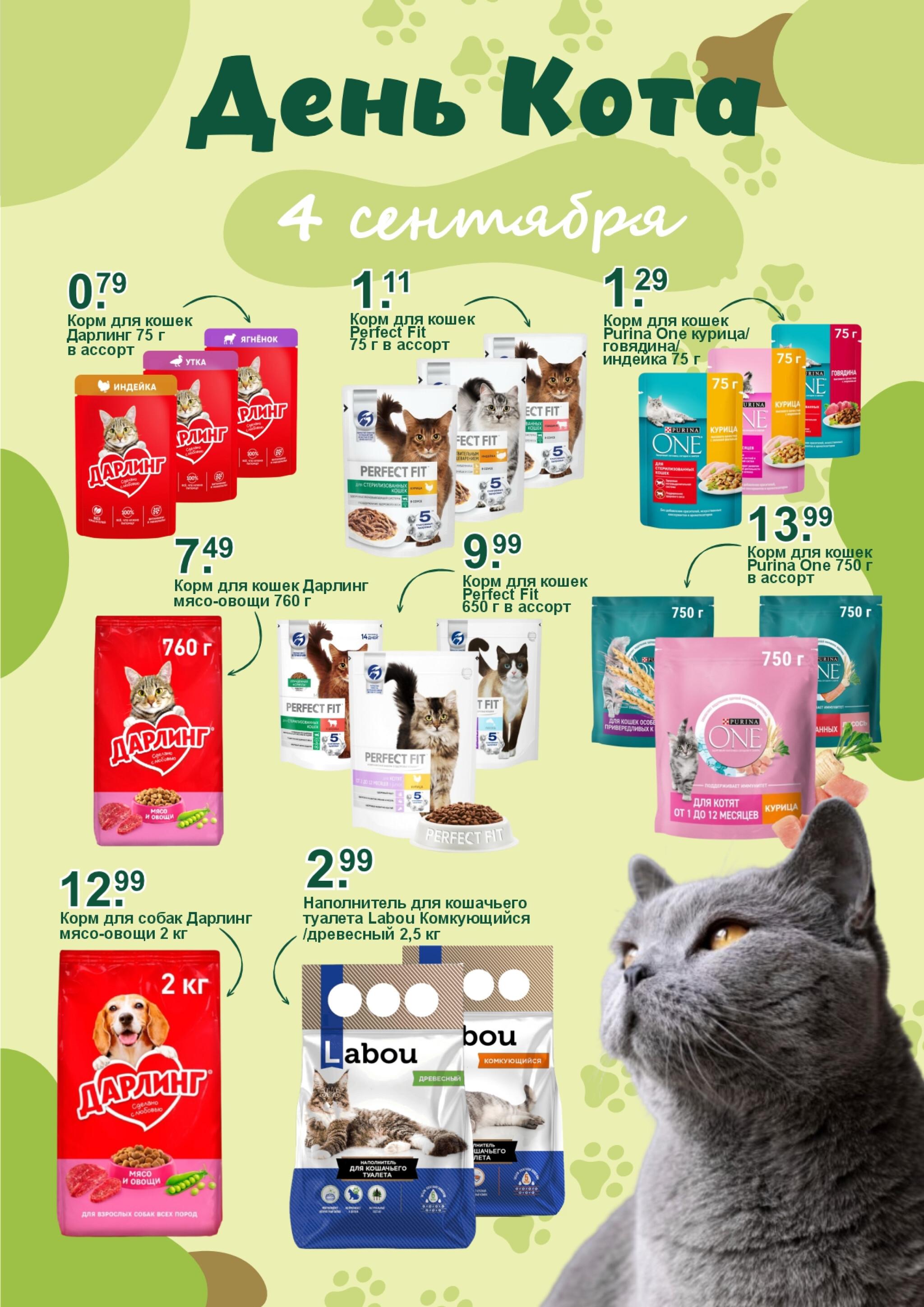 День кота! 4 Сентября 2025 1