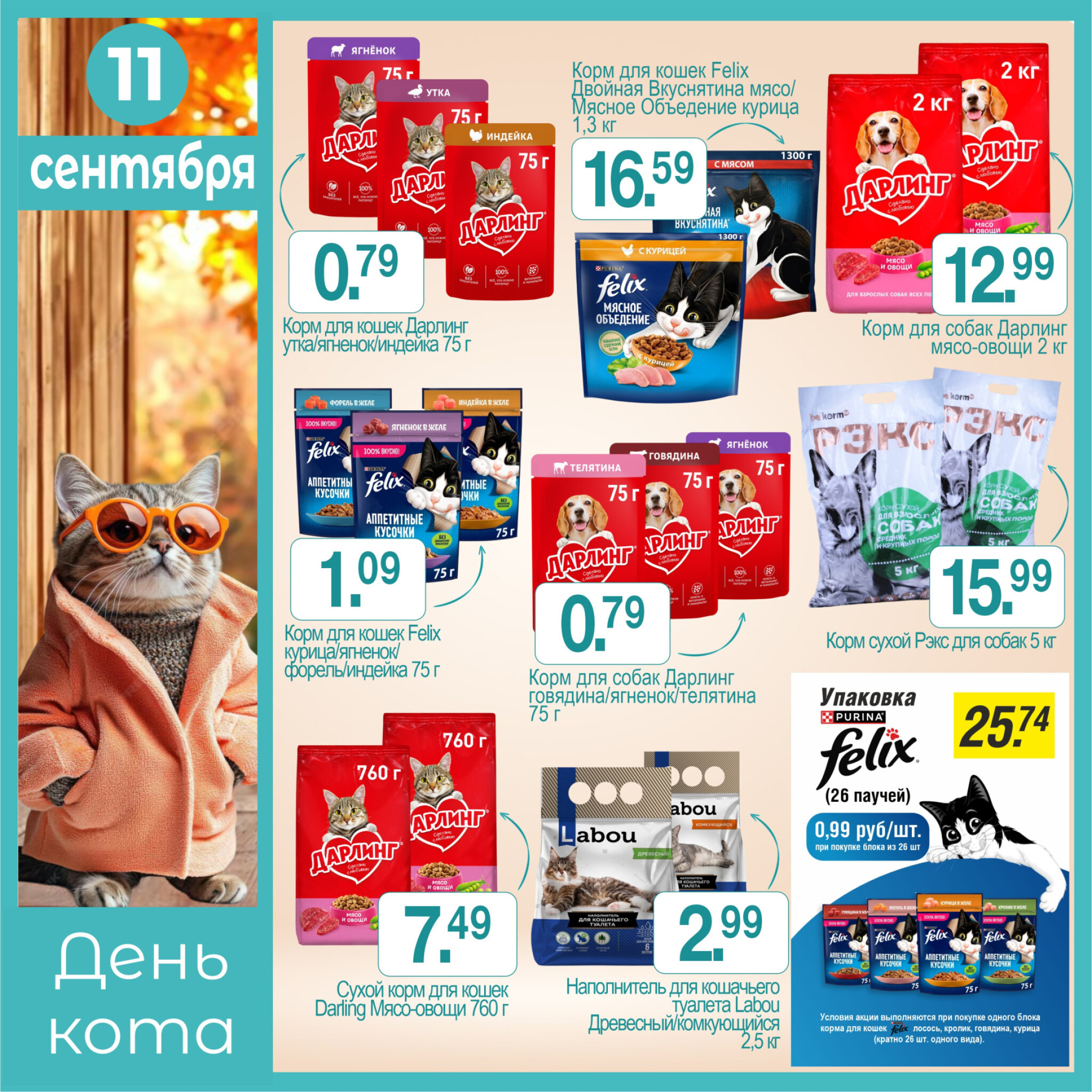 День кота! 11 Сентября 2025 1