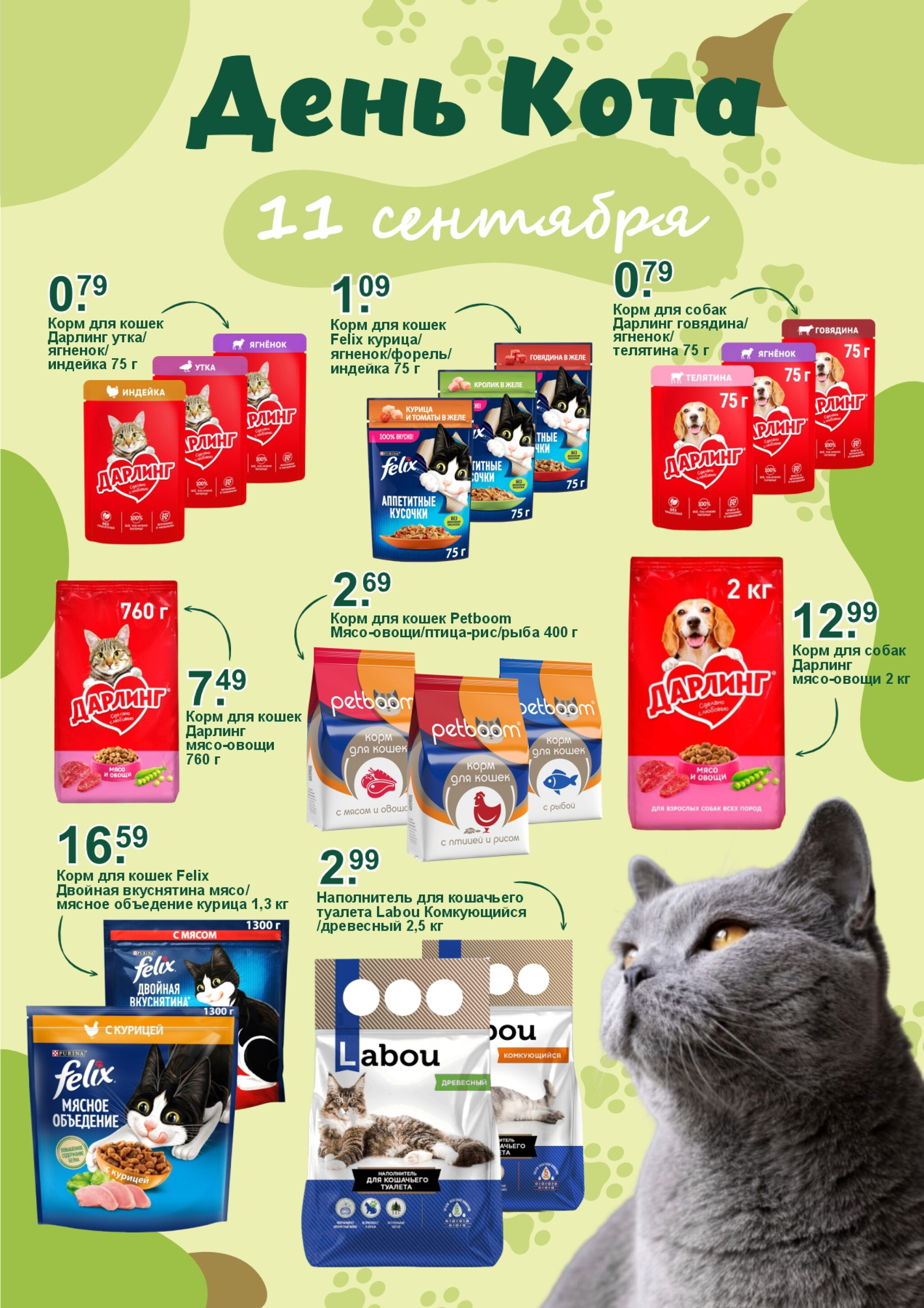 День кота! 11 Сентября 2025 1