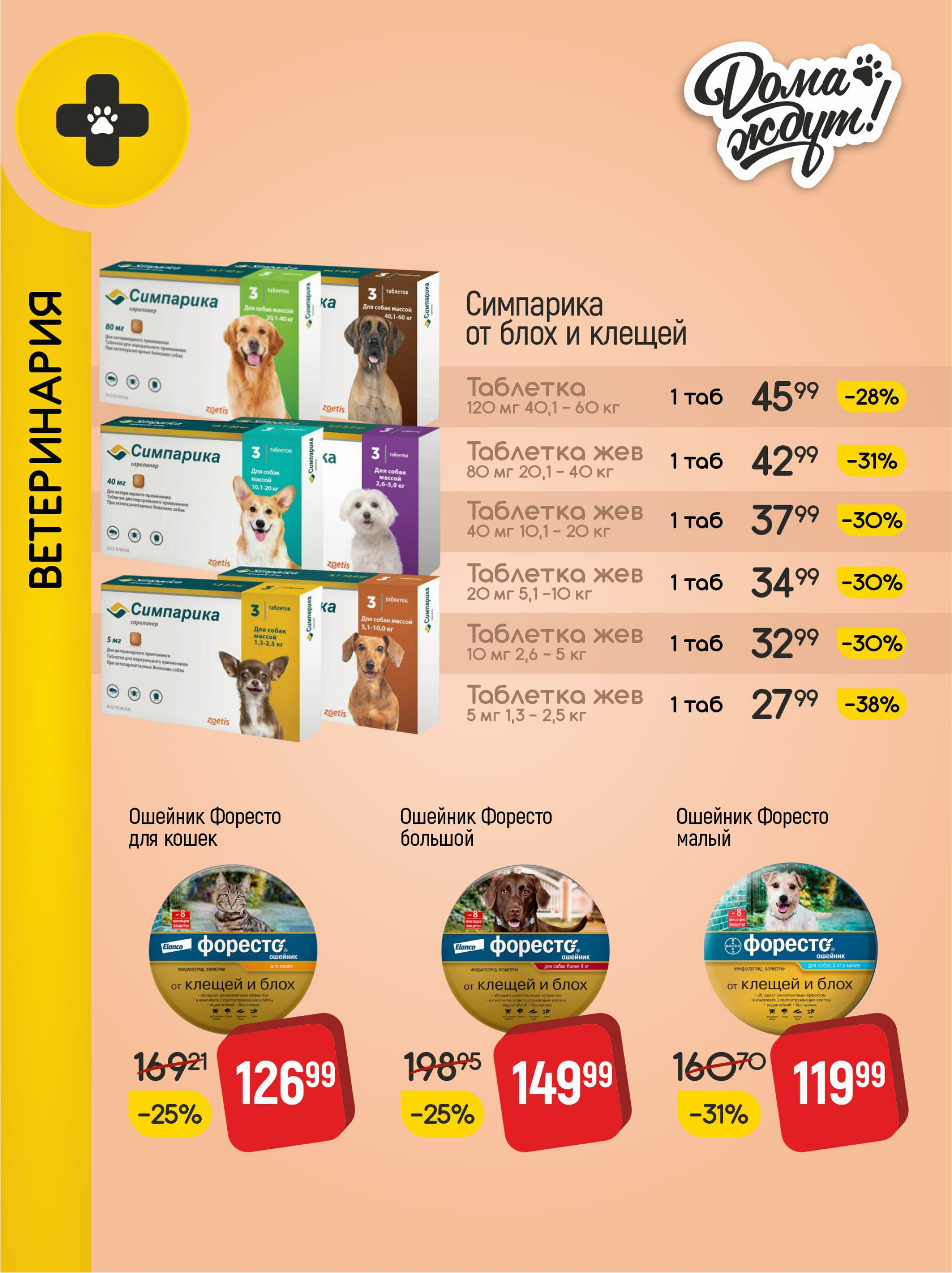 Акционные предложения! 10  - 30 Сентября 2025 10