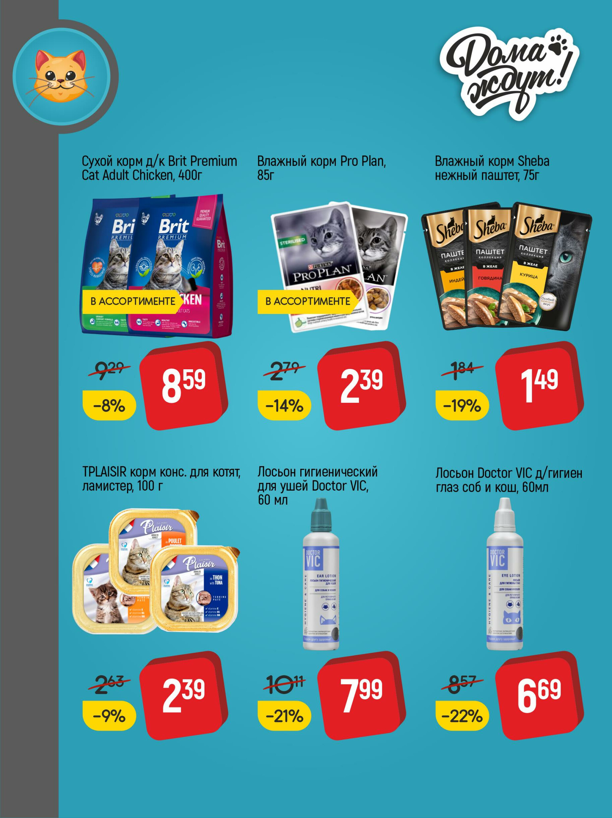 Акционные предложения! 10  - 30 Сентября 2025 4