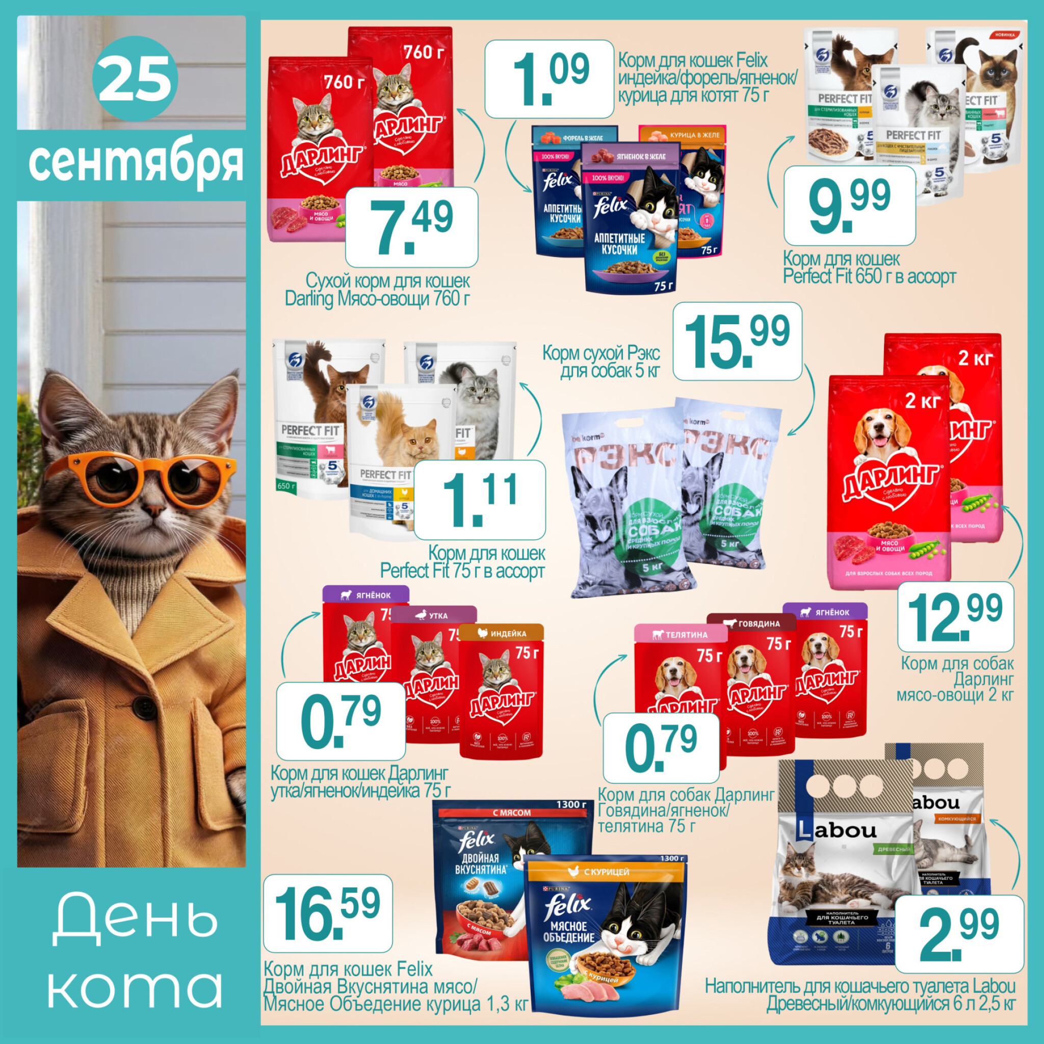 День кота! 25 Сентября 2025 1