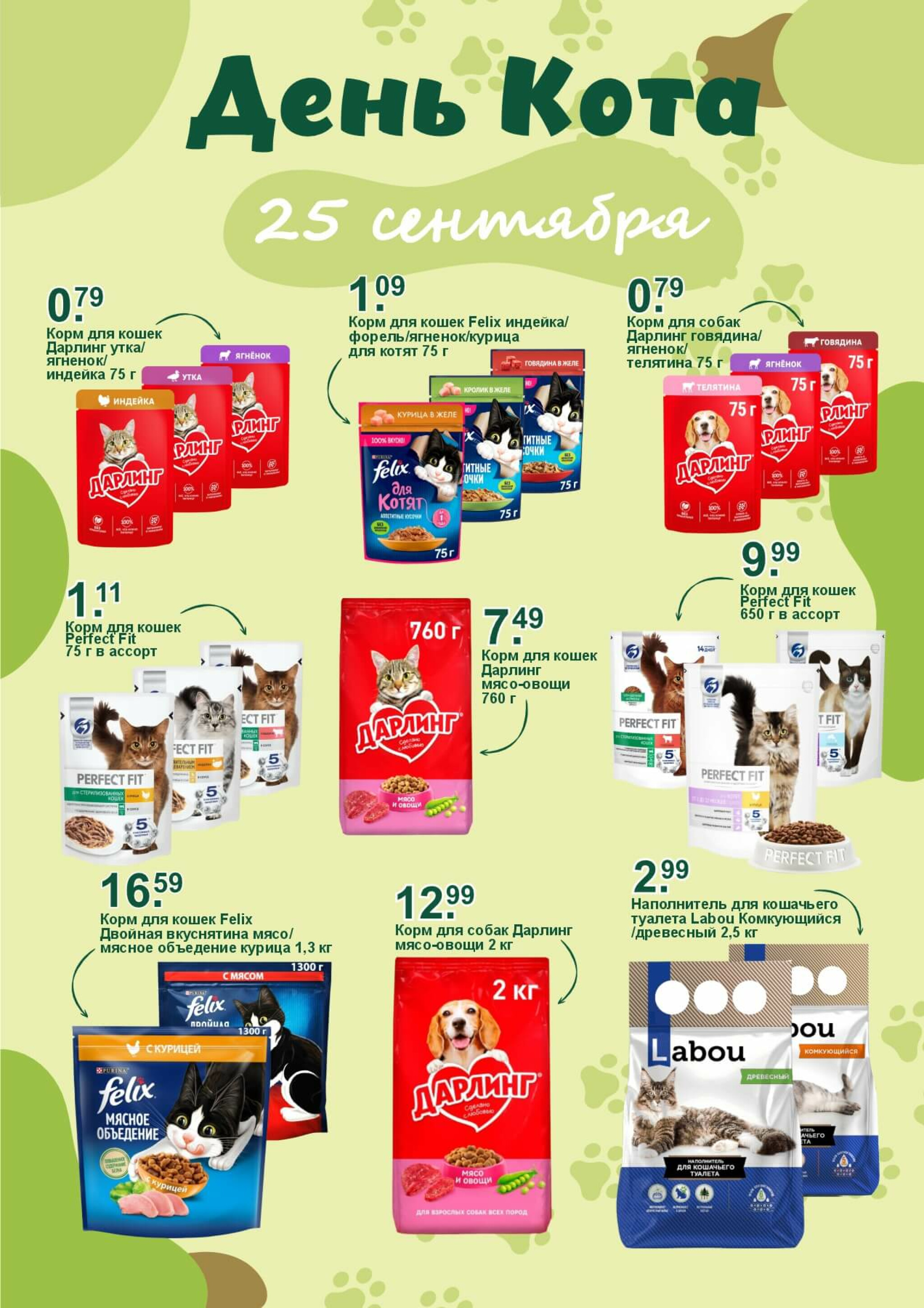 День кота! 25 Сентября 2025 1