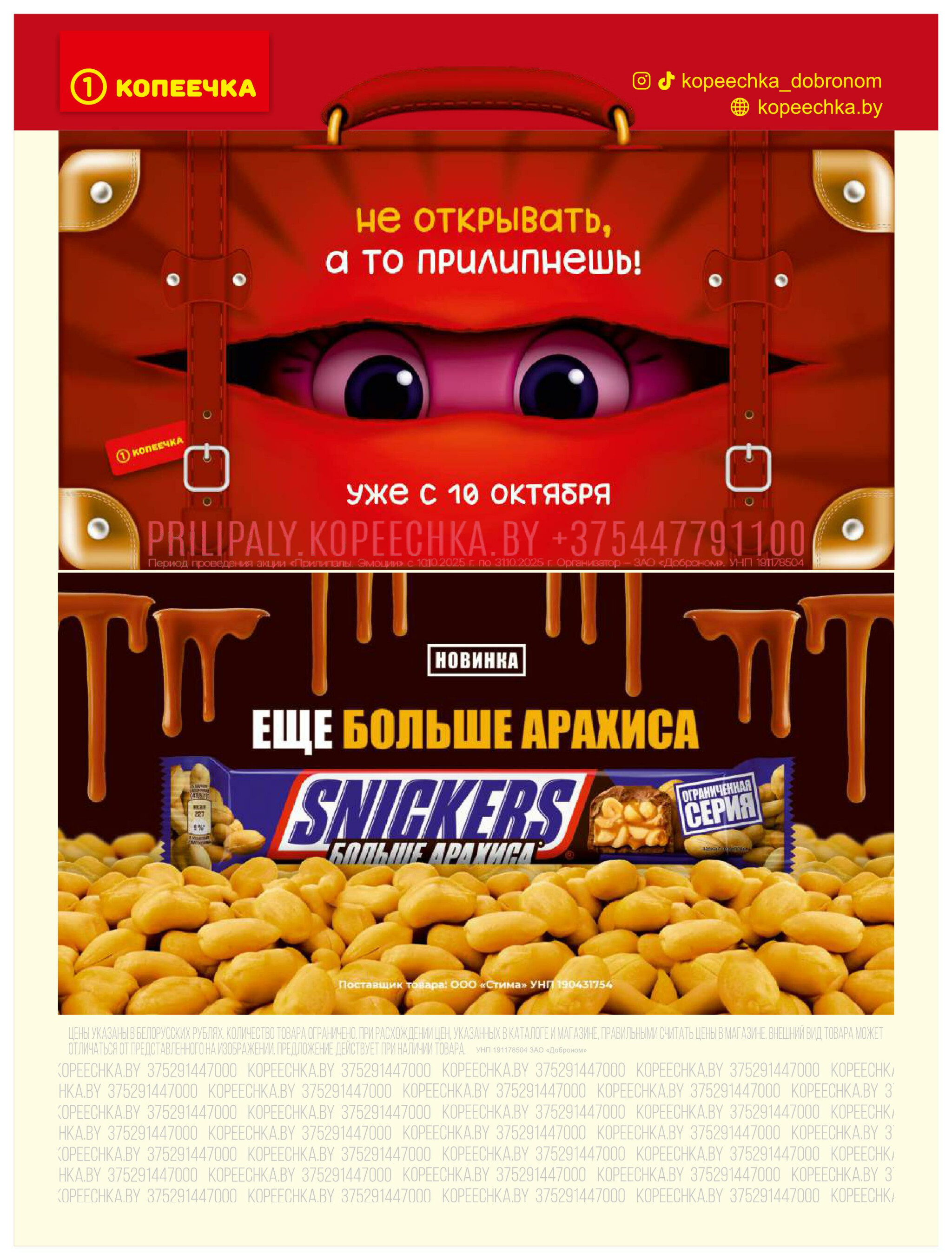 Акционные предложения! 1  - 12 Октября 2025 4