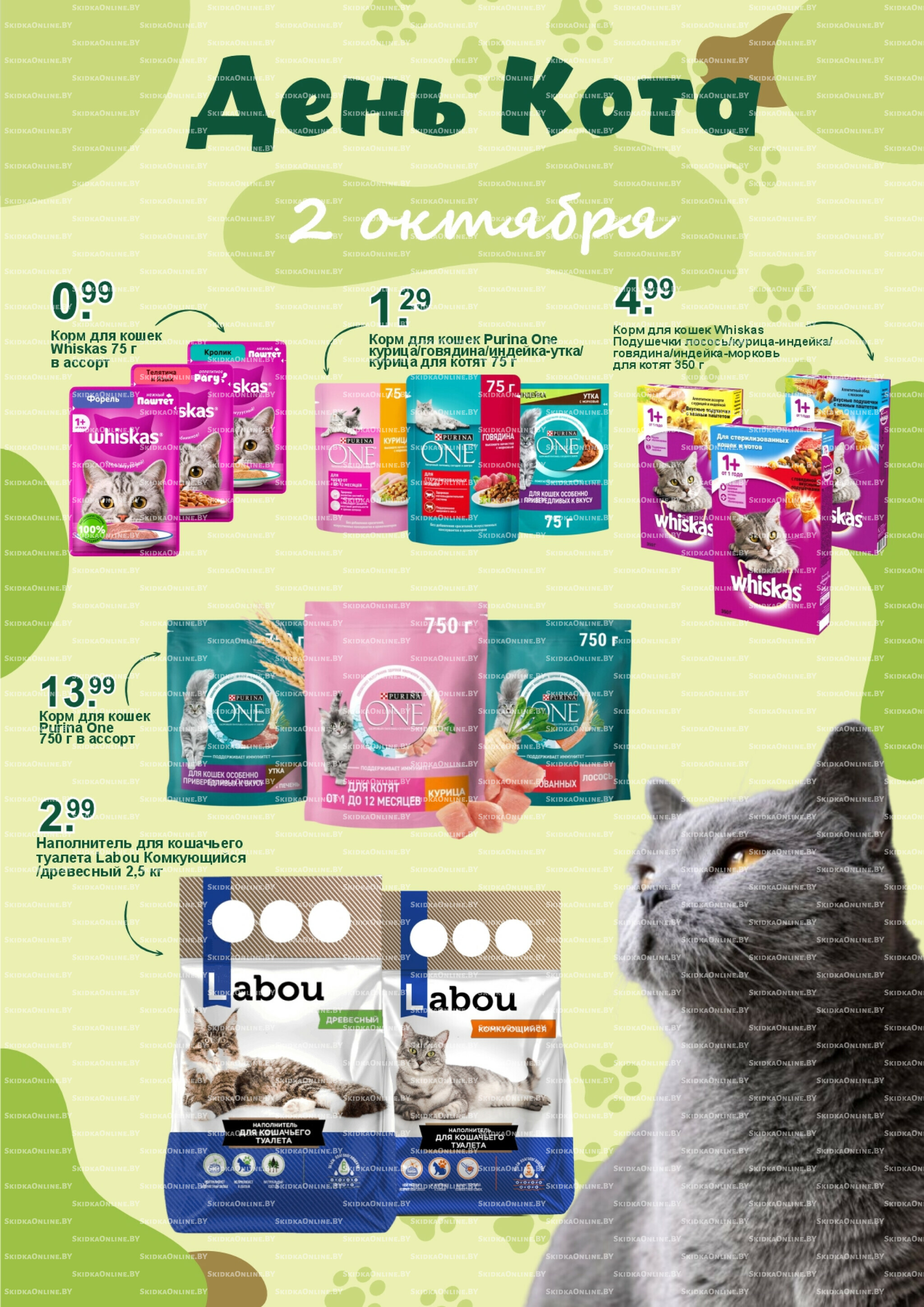 День кота! 2 Октября 2025 1