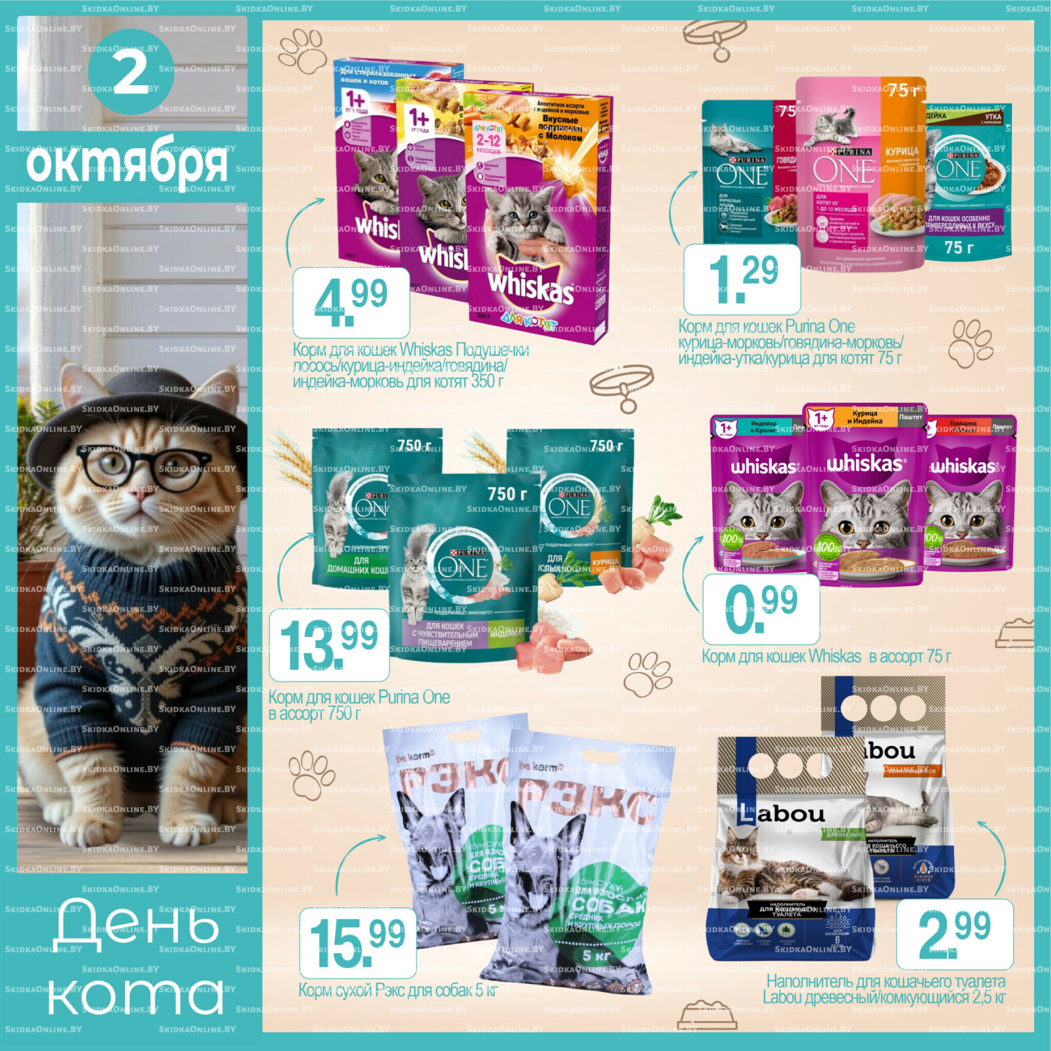 День кота! 2 Октября 2025 1