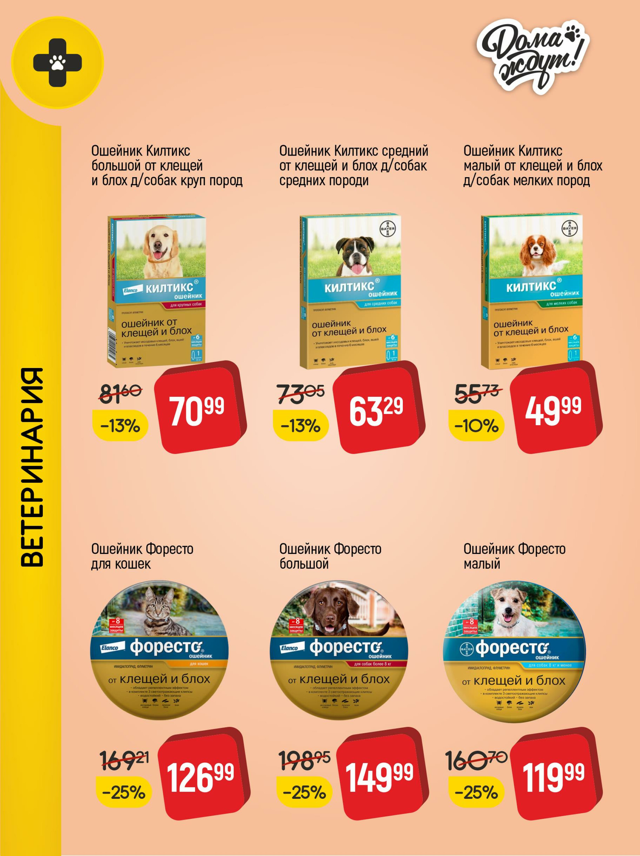 Акционные предложения! 1  - 31 Октября 2025 10