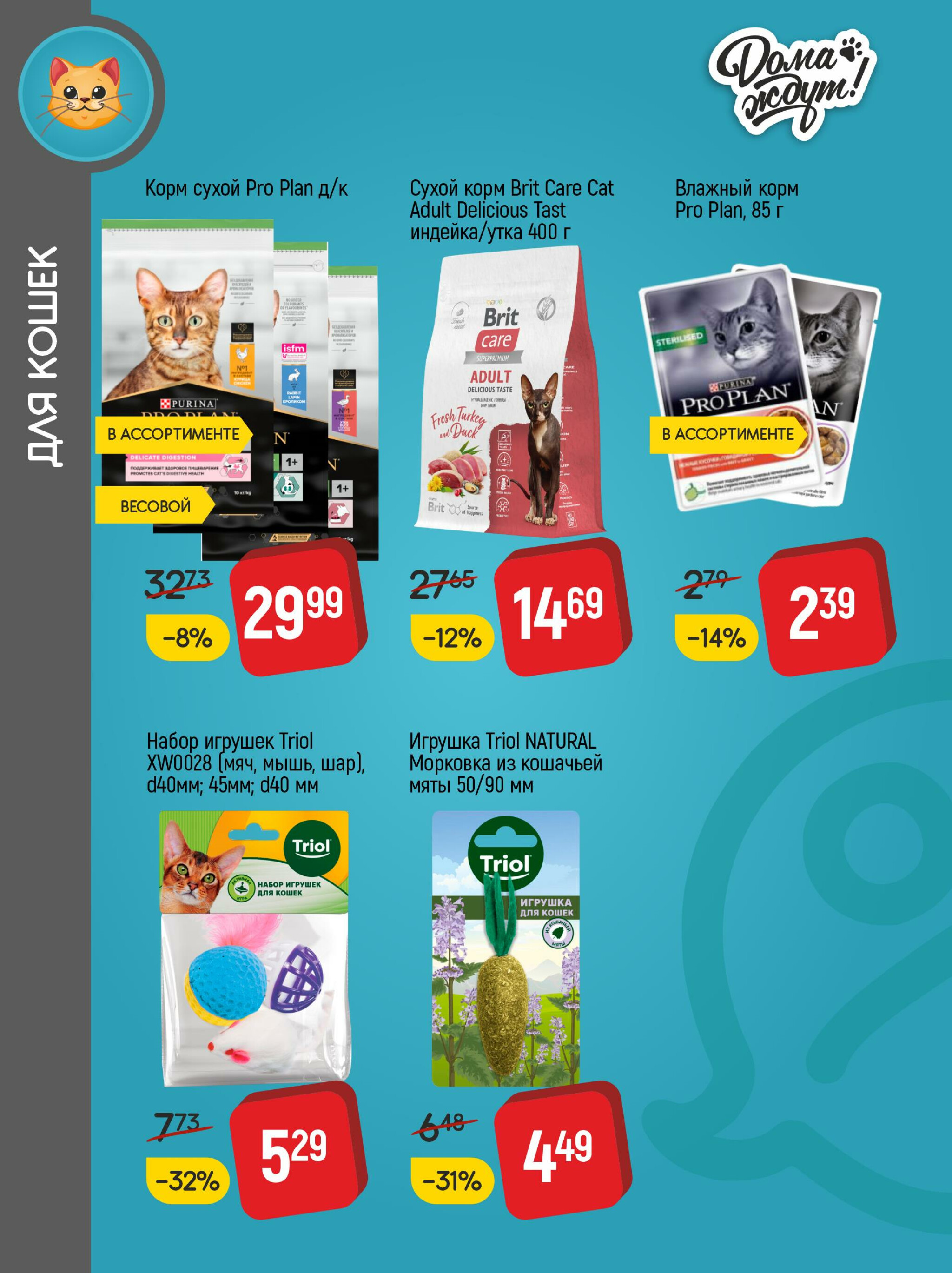 Акционные предложения! 1  - 31 Октября 2025 4