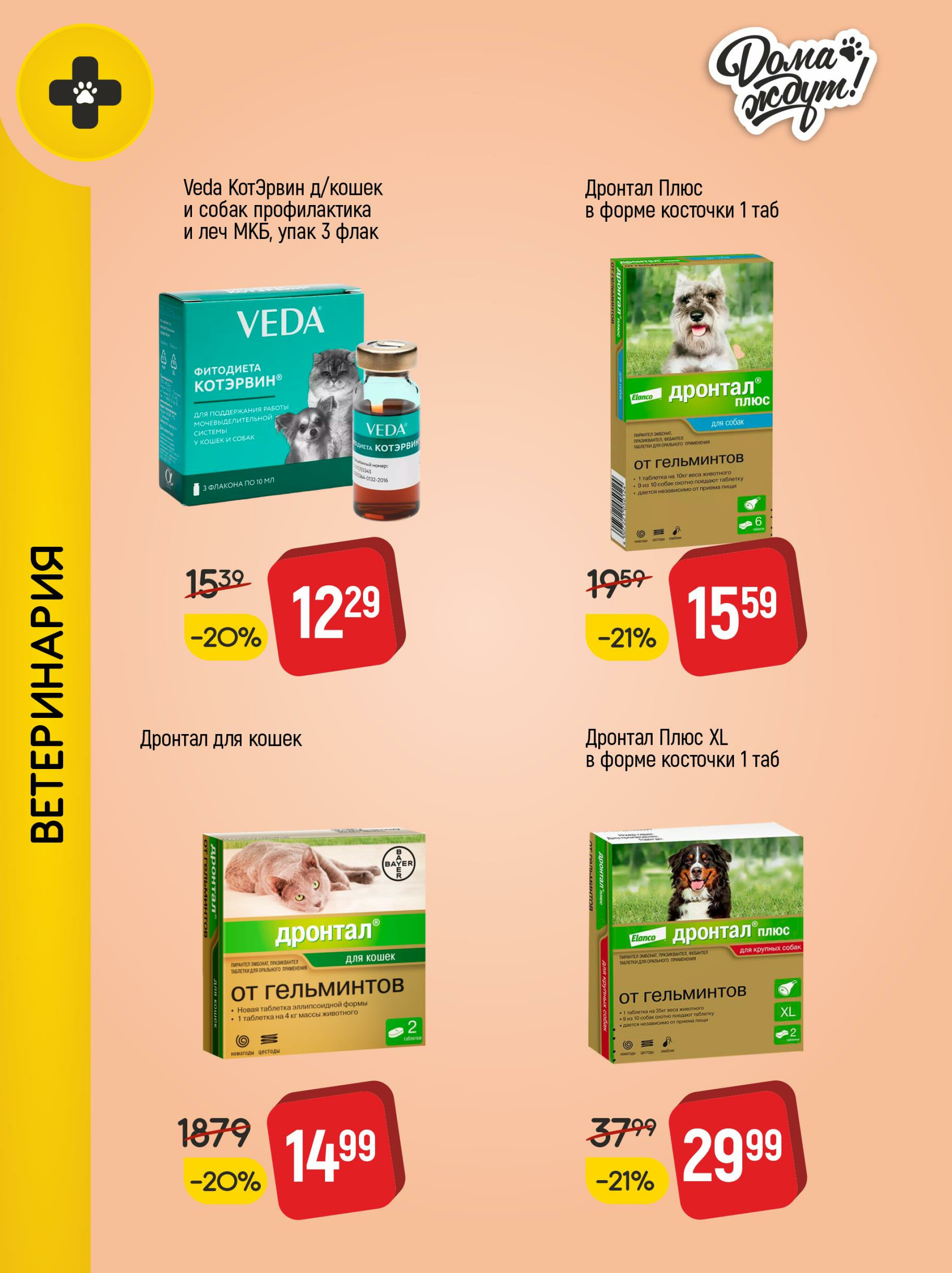 Акционные предложения! 1  - 31 Октября 2025 8