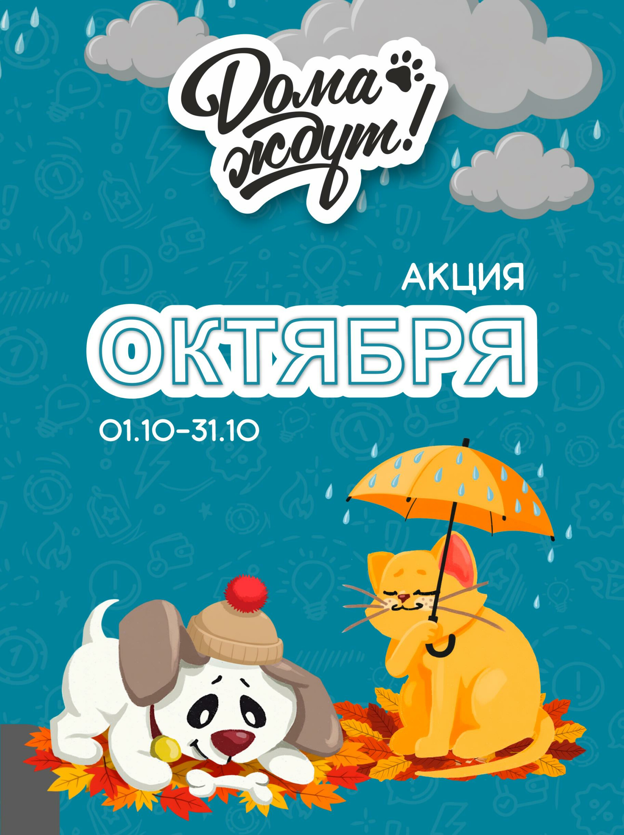 Акционные предложения! 1  - 31 Октября 2025 1