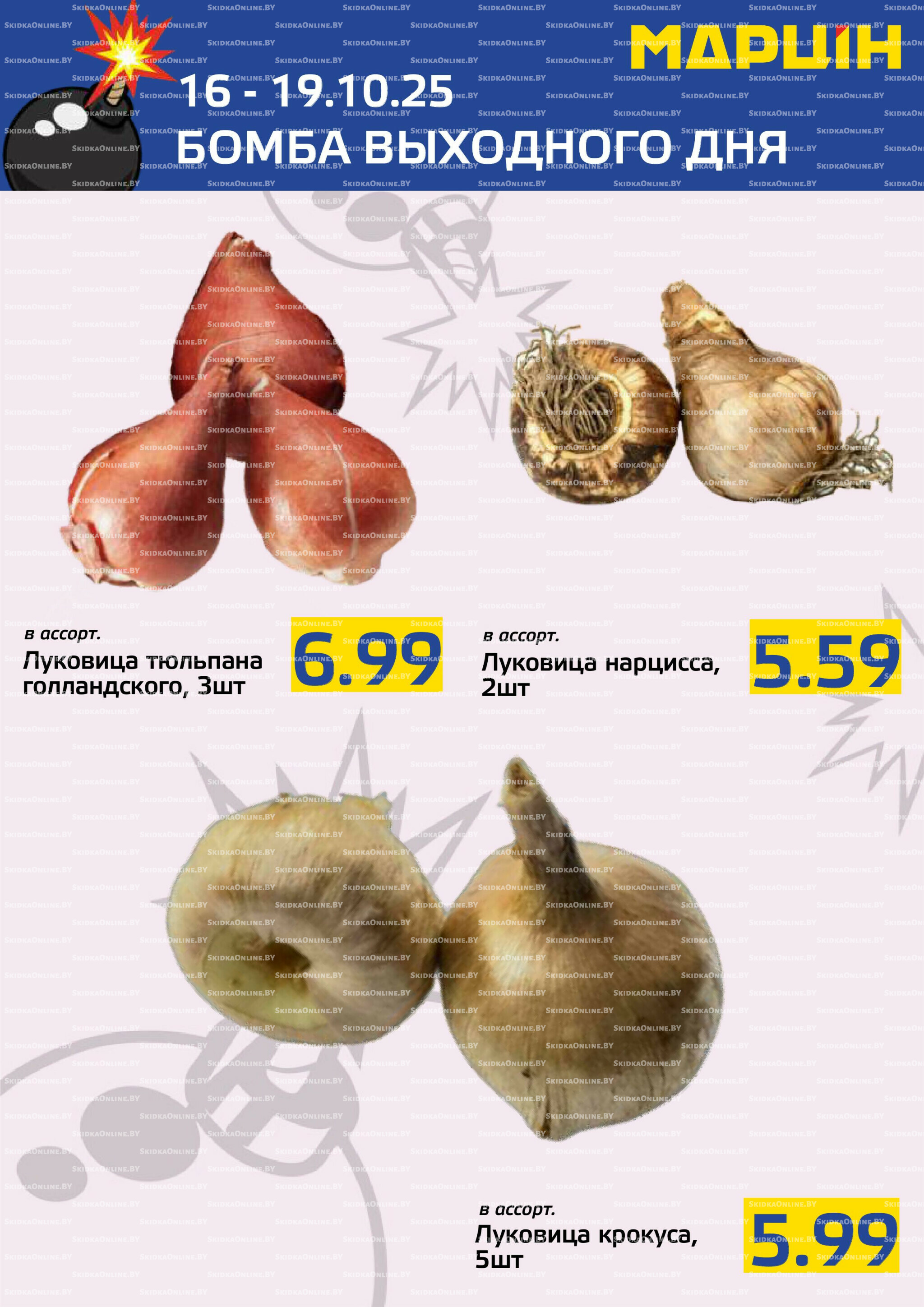 Бомба выходного дня! 16  - 19 Октября 2025 9