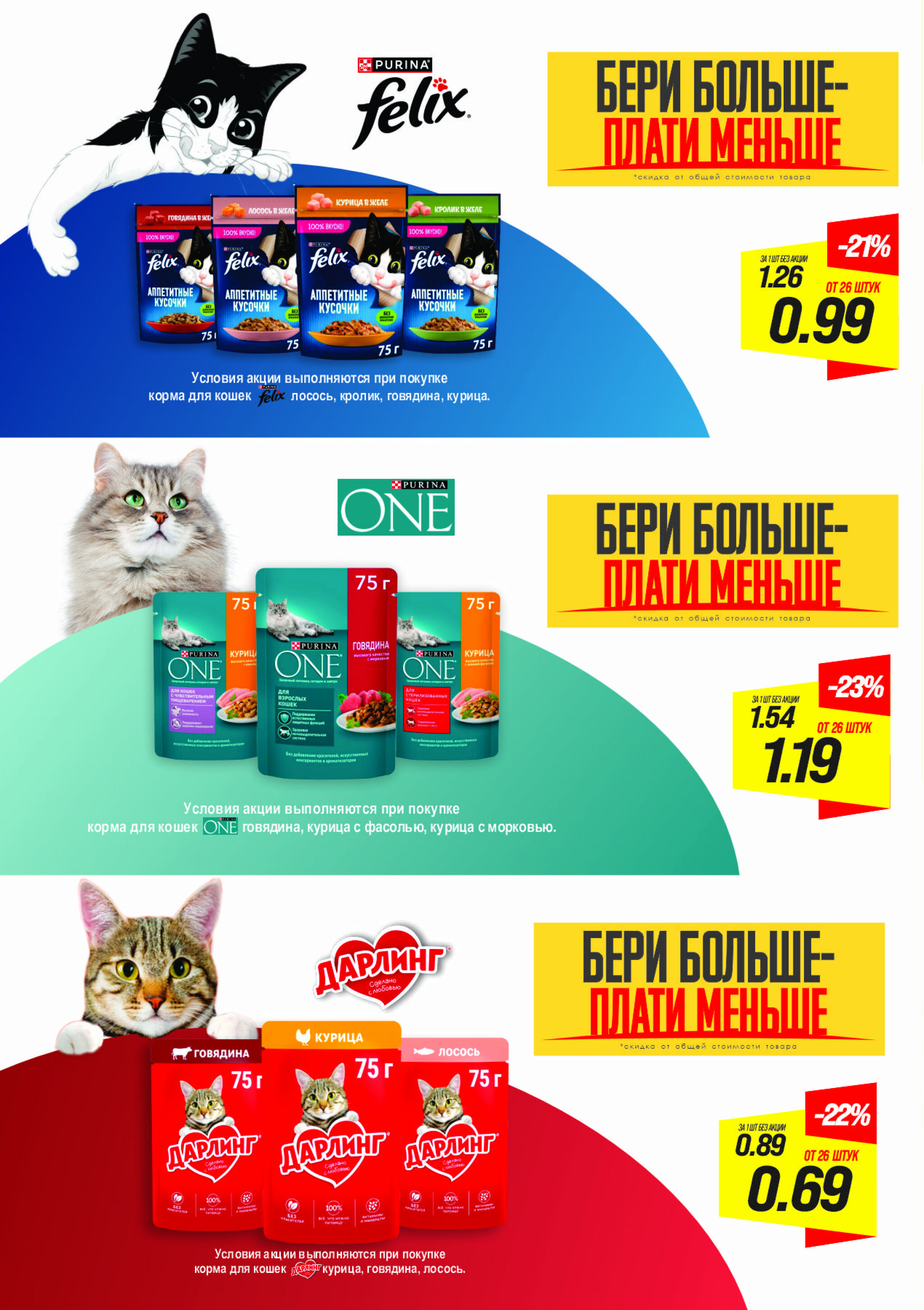 День кота! 16 Октября 2025 2