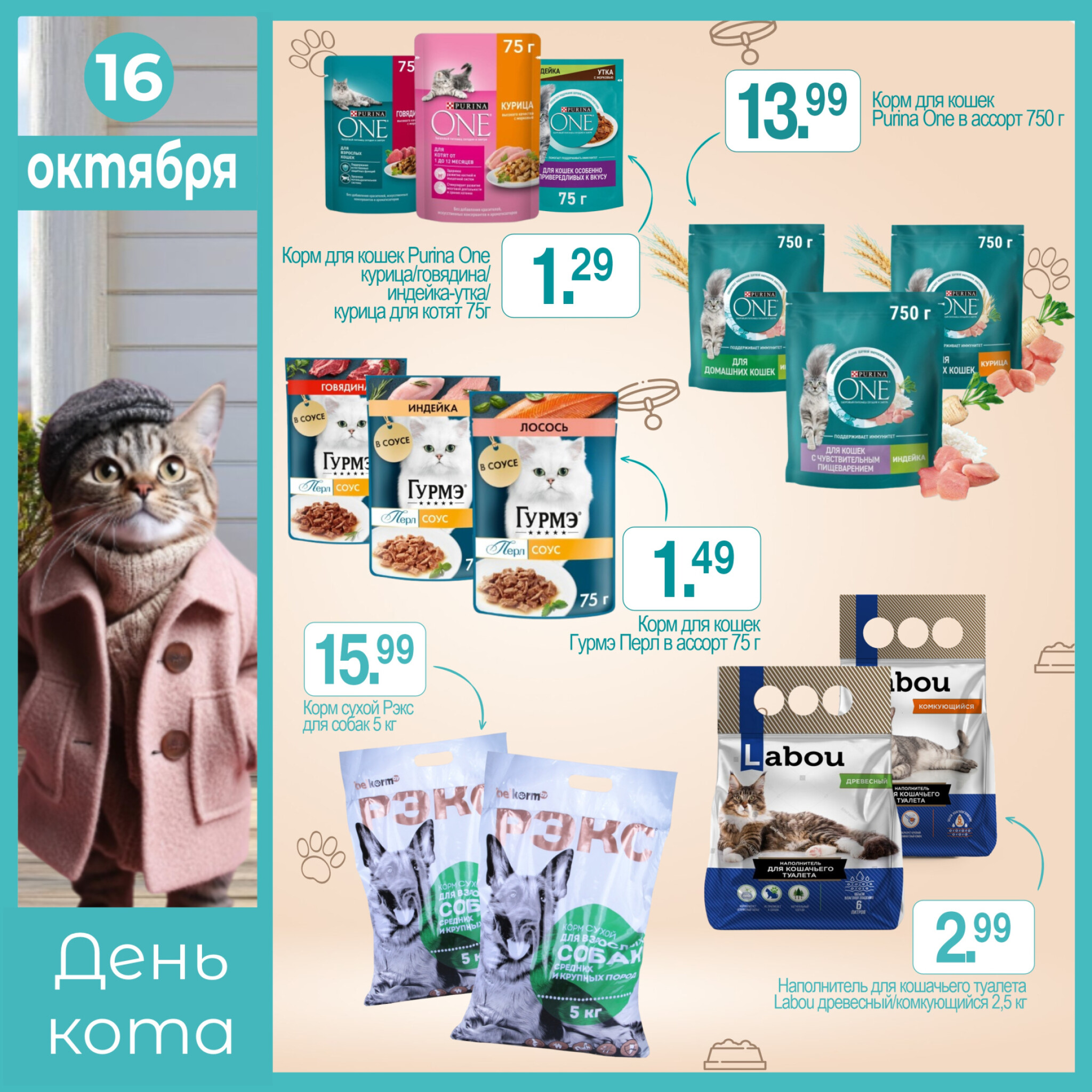 День кота! 16 Октября 2025 1