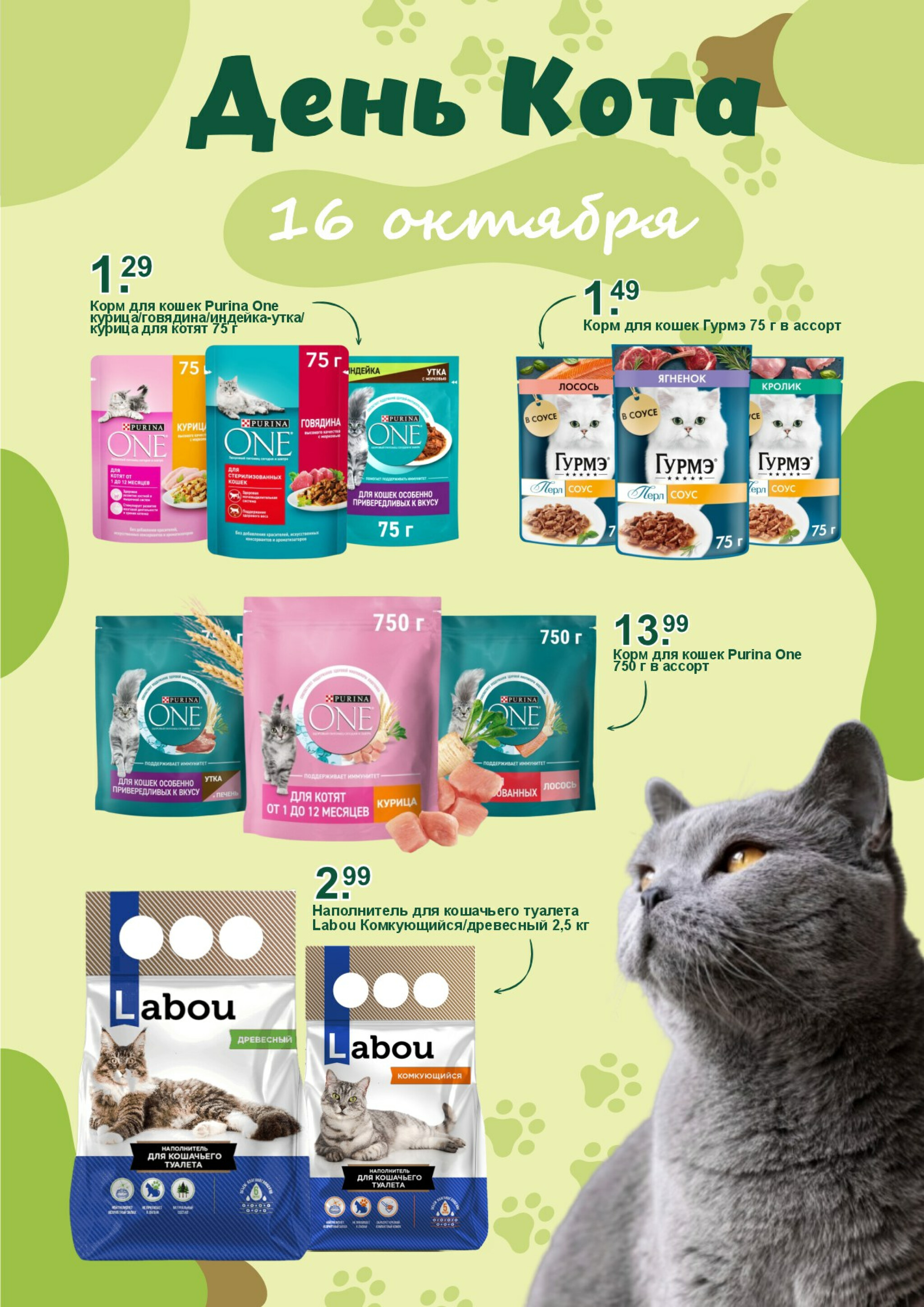 День кота! 16 Октября 2025 1