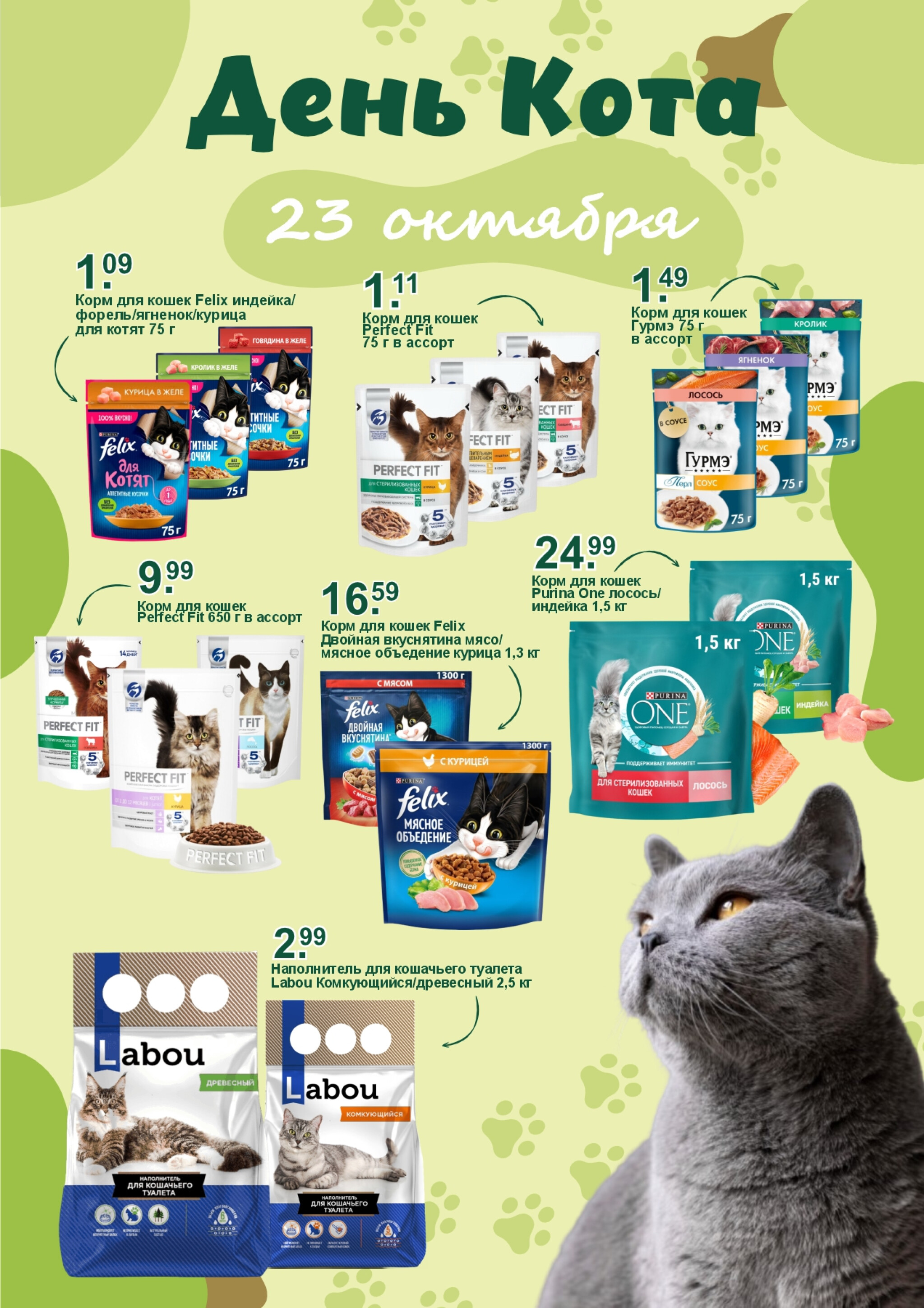 День кота! 23 Октября 2025 1