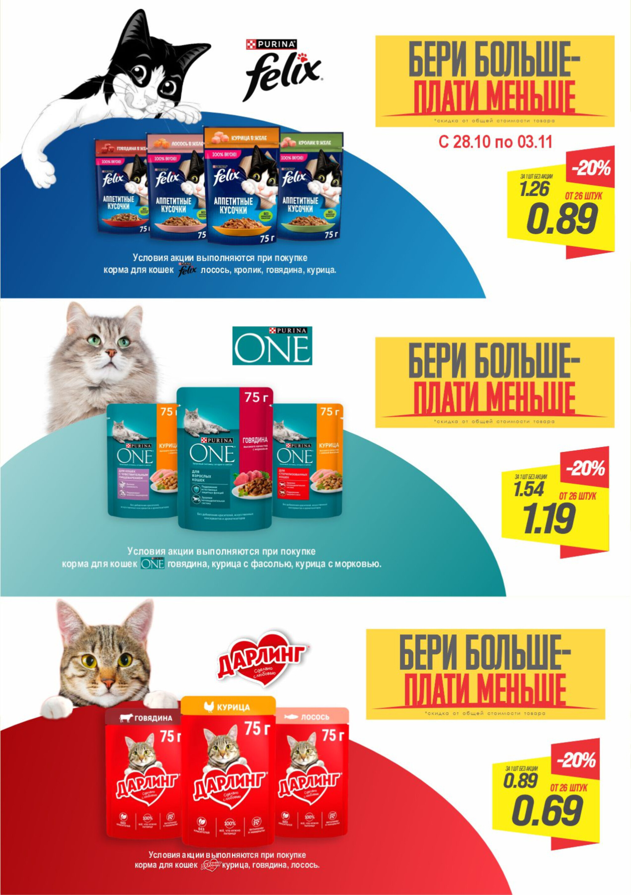 День кота! 30 Октября 2025 1