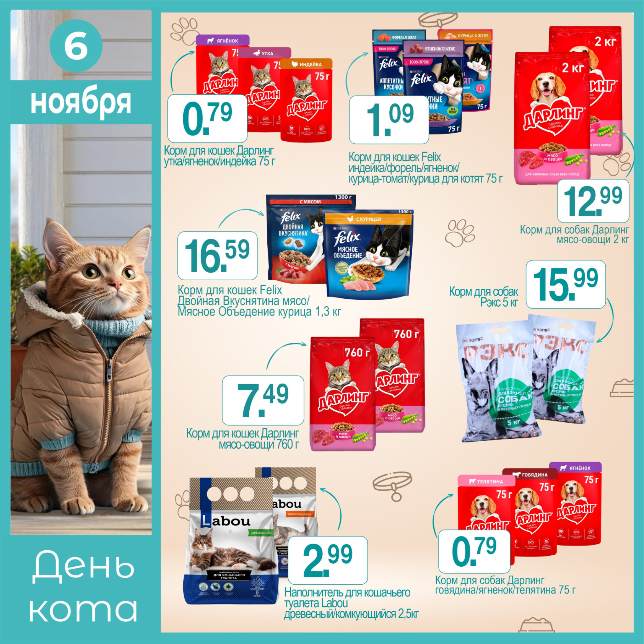 День кота! 6 Ноября 2025 1