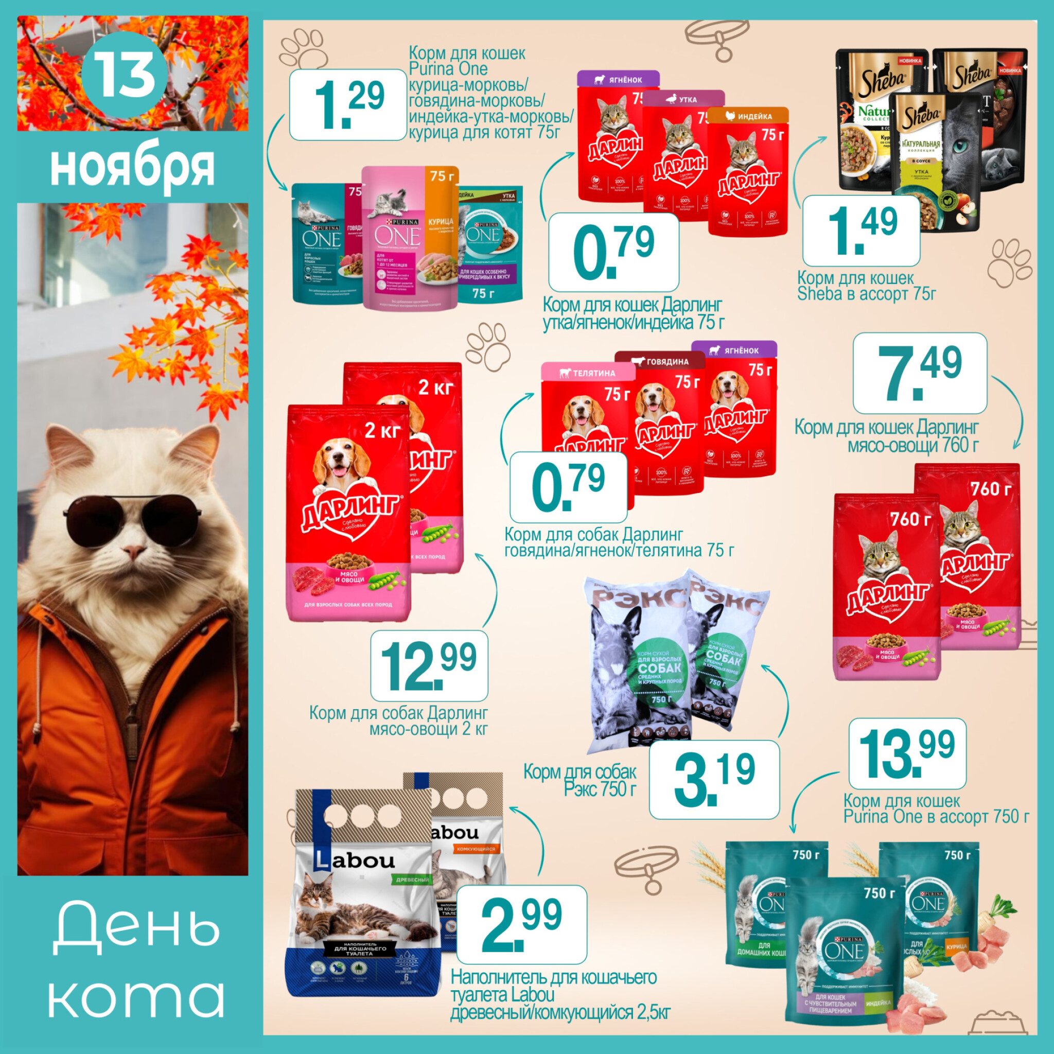 День кота! 13 Ноября 2025 1