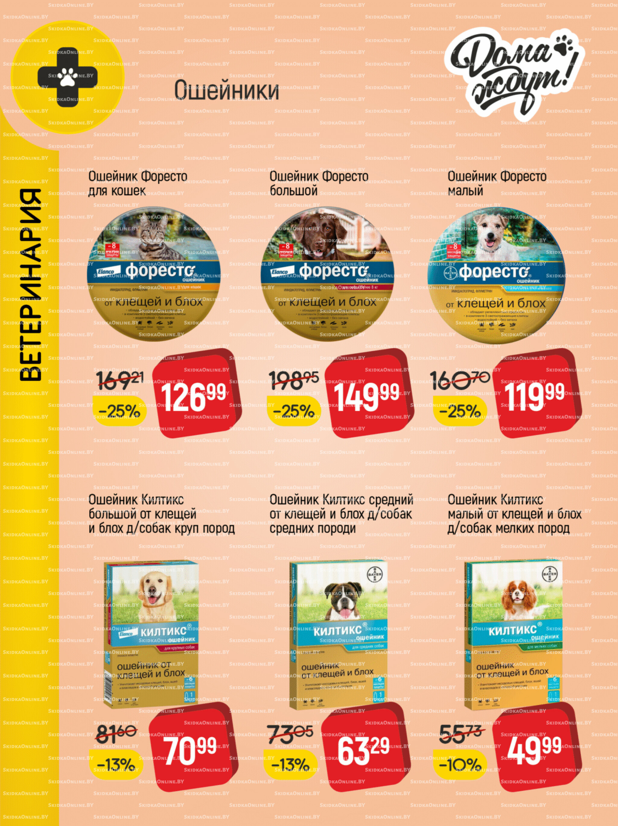 Акционные предложения! 1  - 30 Ноября 2025 13