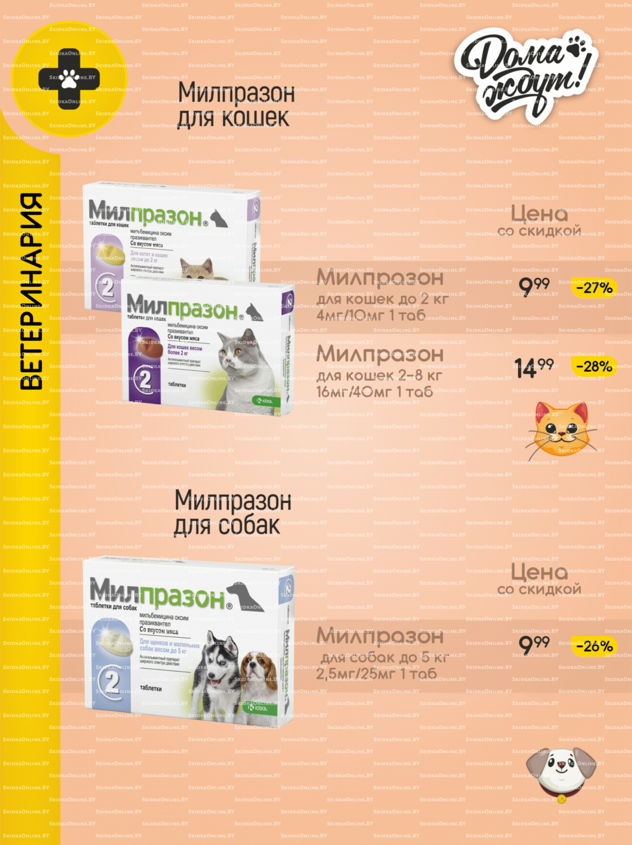 Акционные предложения! 1  - 30 Ноября 2025 11