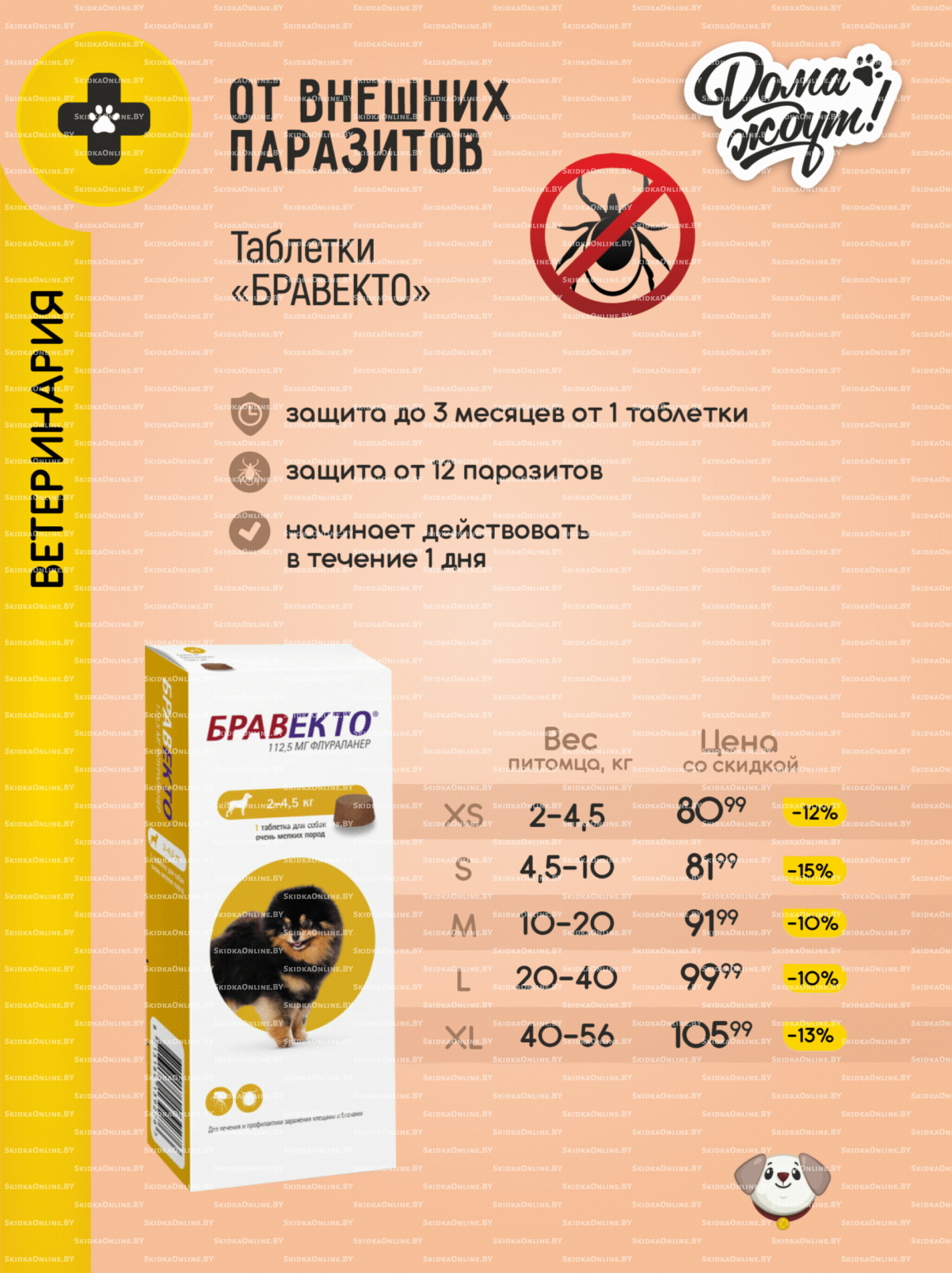 Акционные предложения! 1  - 30 Ноября 2025 14