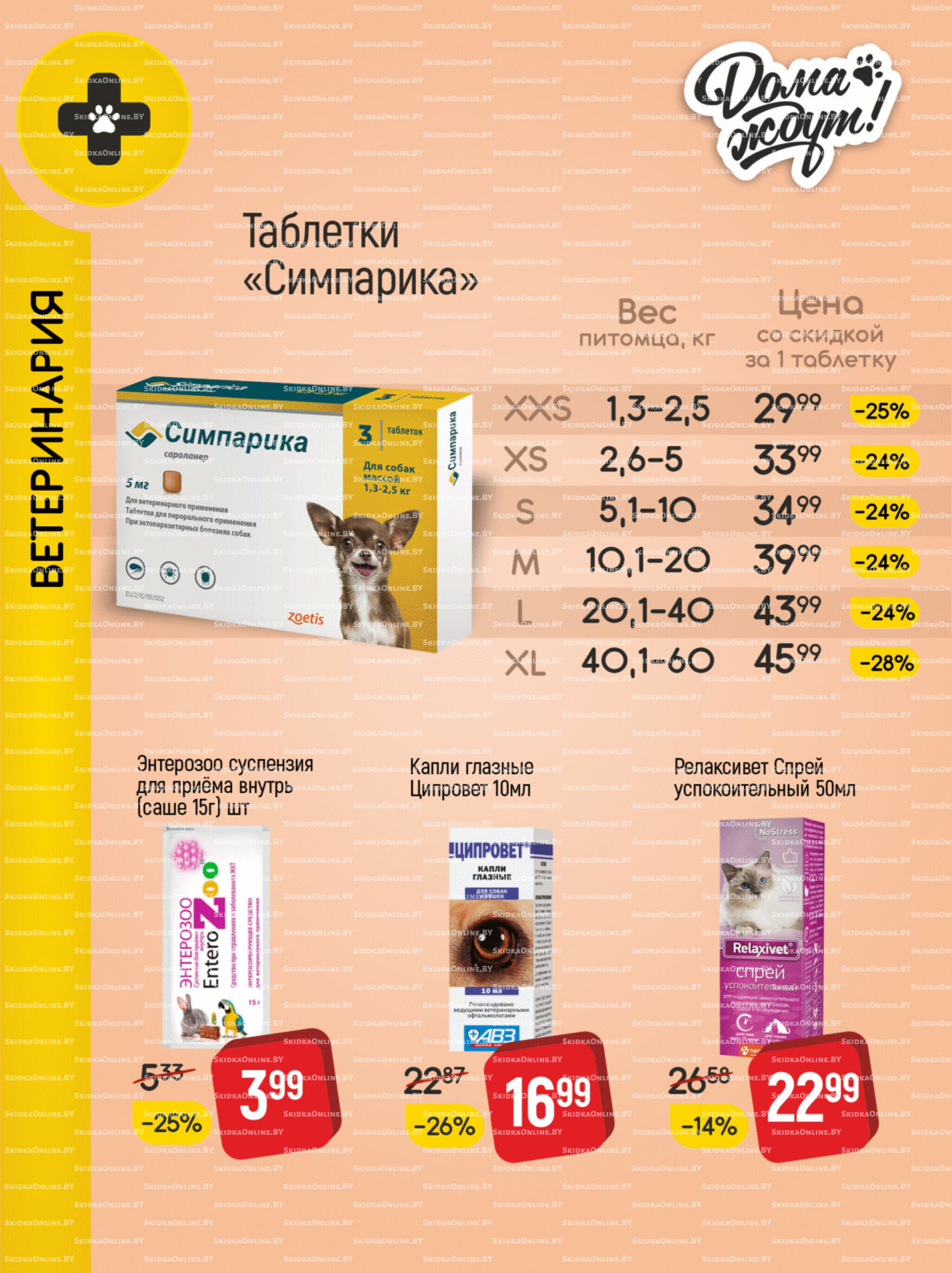 Акционные предложения! 1  - 30 Ноября 2025 15