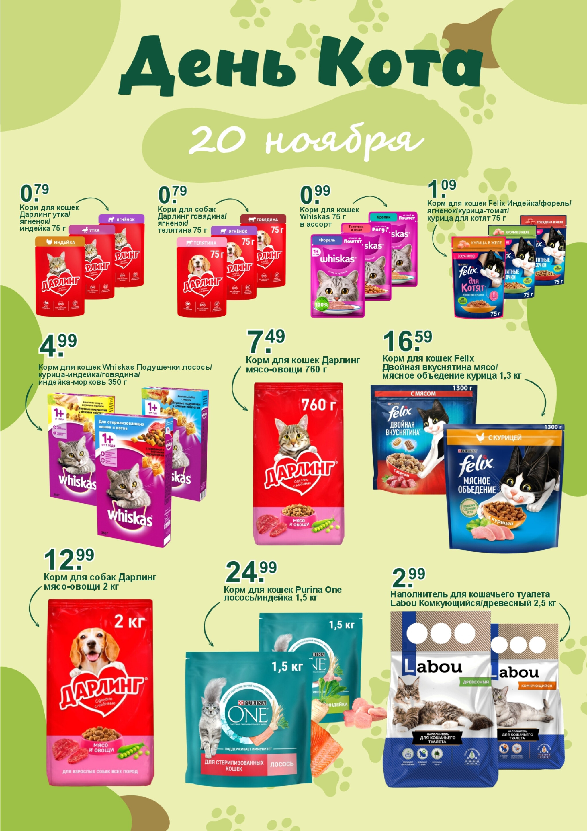 День кота! 20 Ноября 2025 1