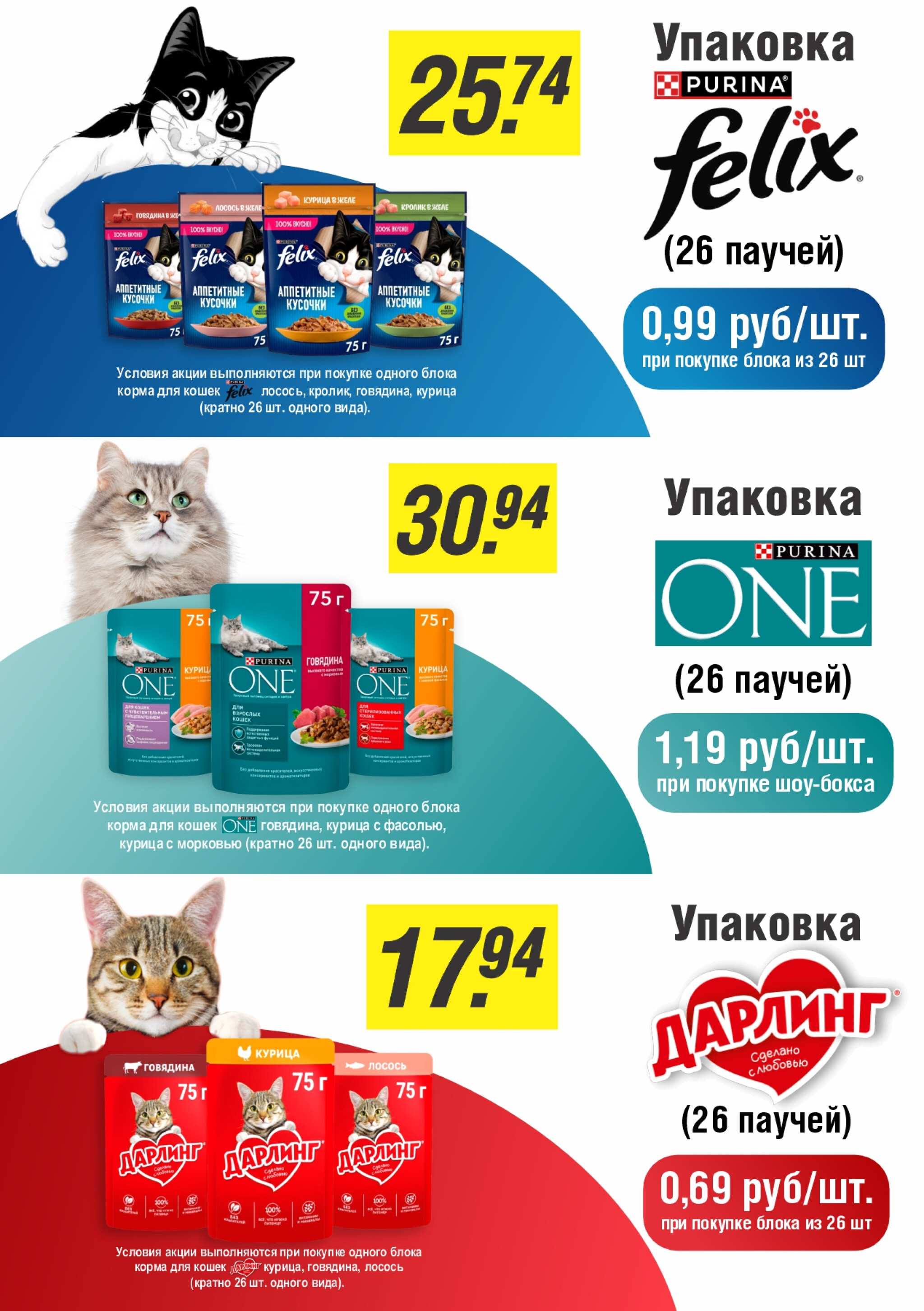 День кота! 20 Ноября 2025 2