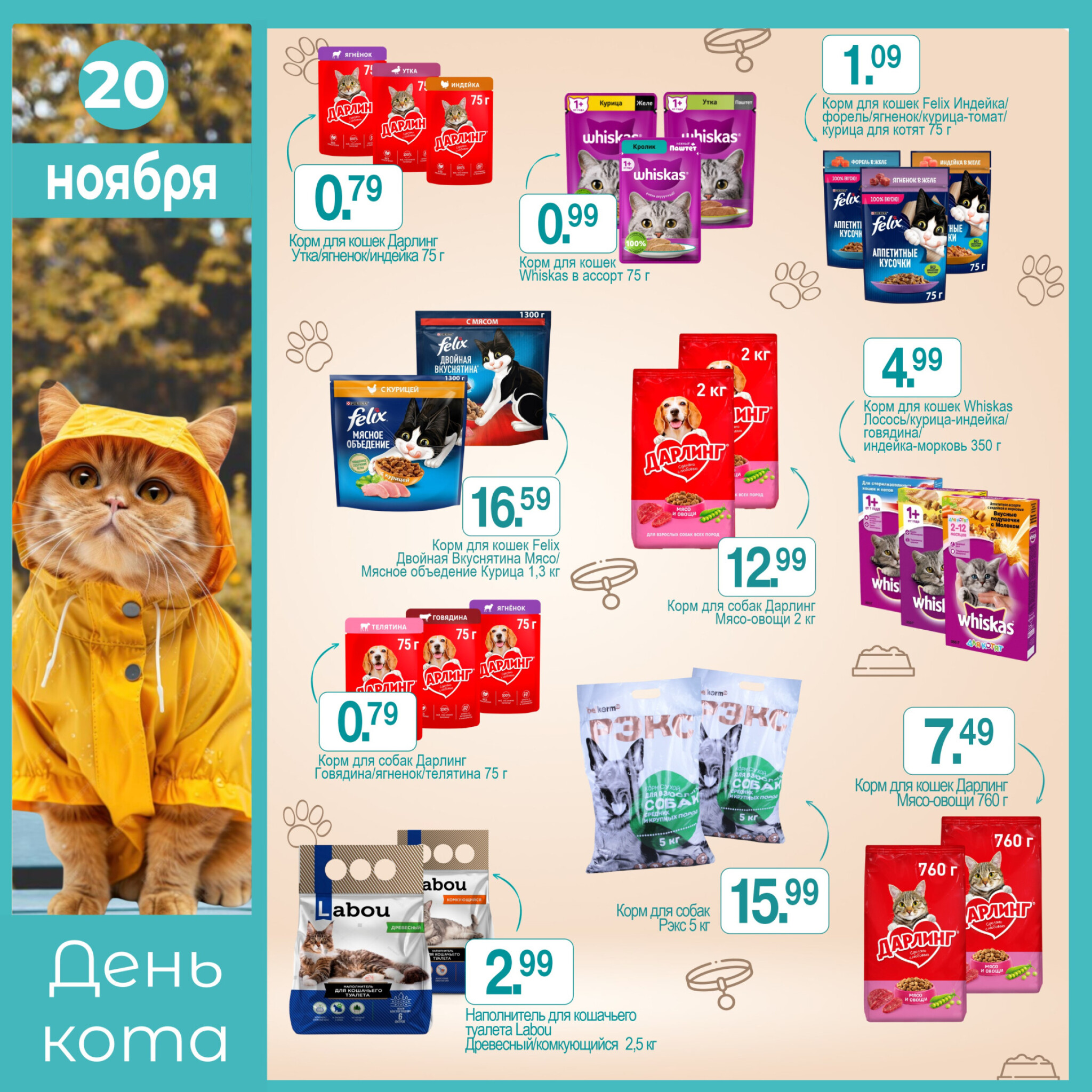 День кота! 20 Ноября 2025 1