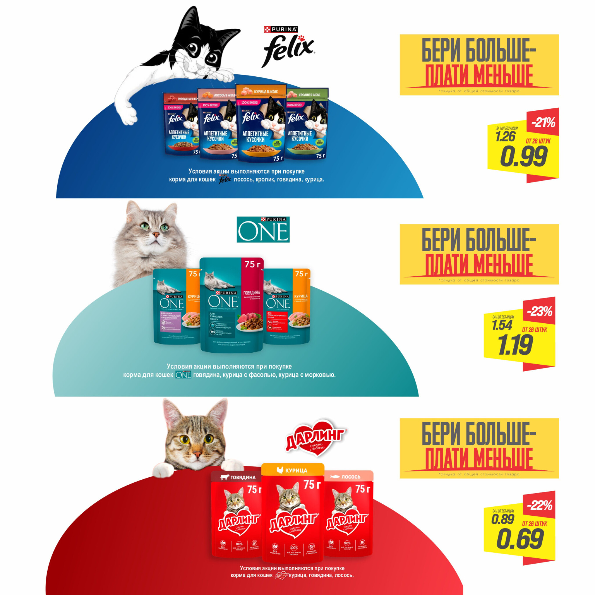 День кота! 20 Ноября 2025 2