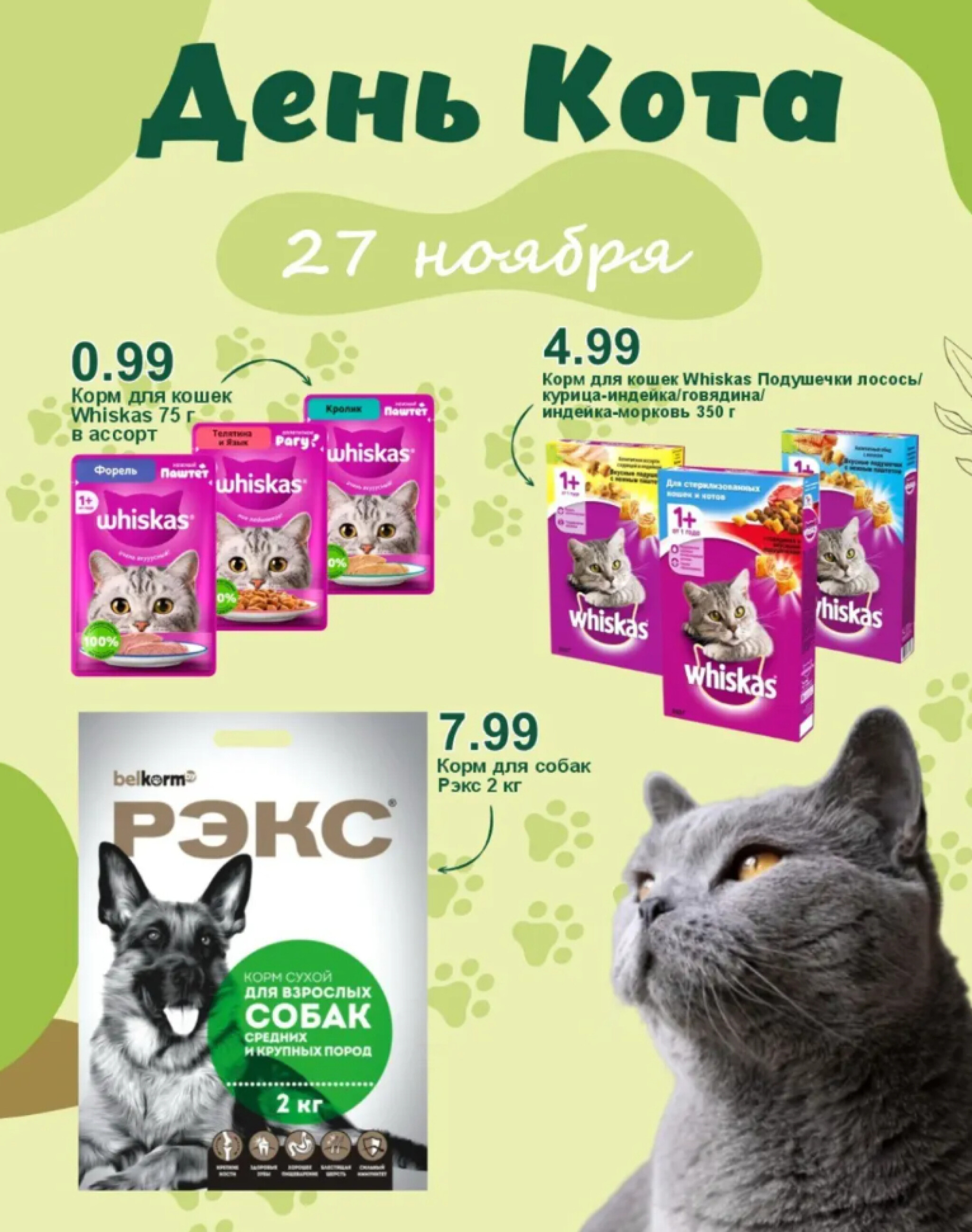 День кота! 27 Ноября 2025 1