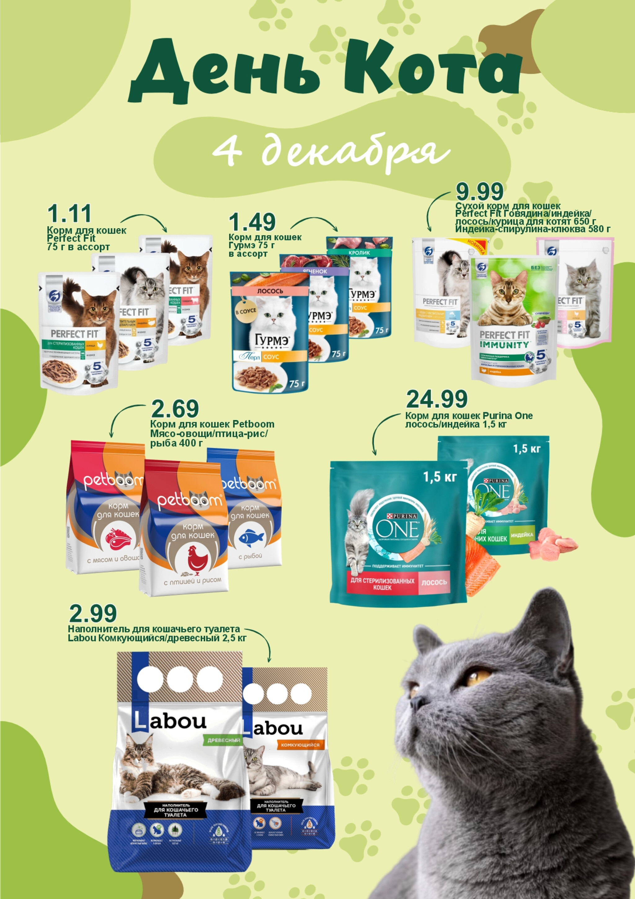 День кота! 4 Декабря 2025 1