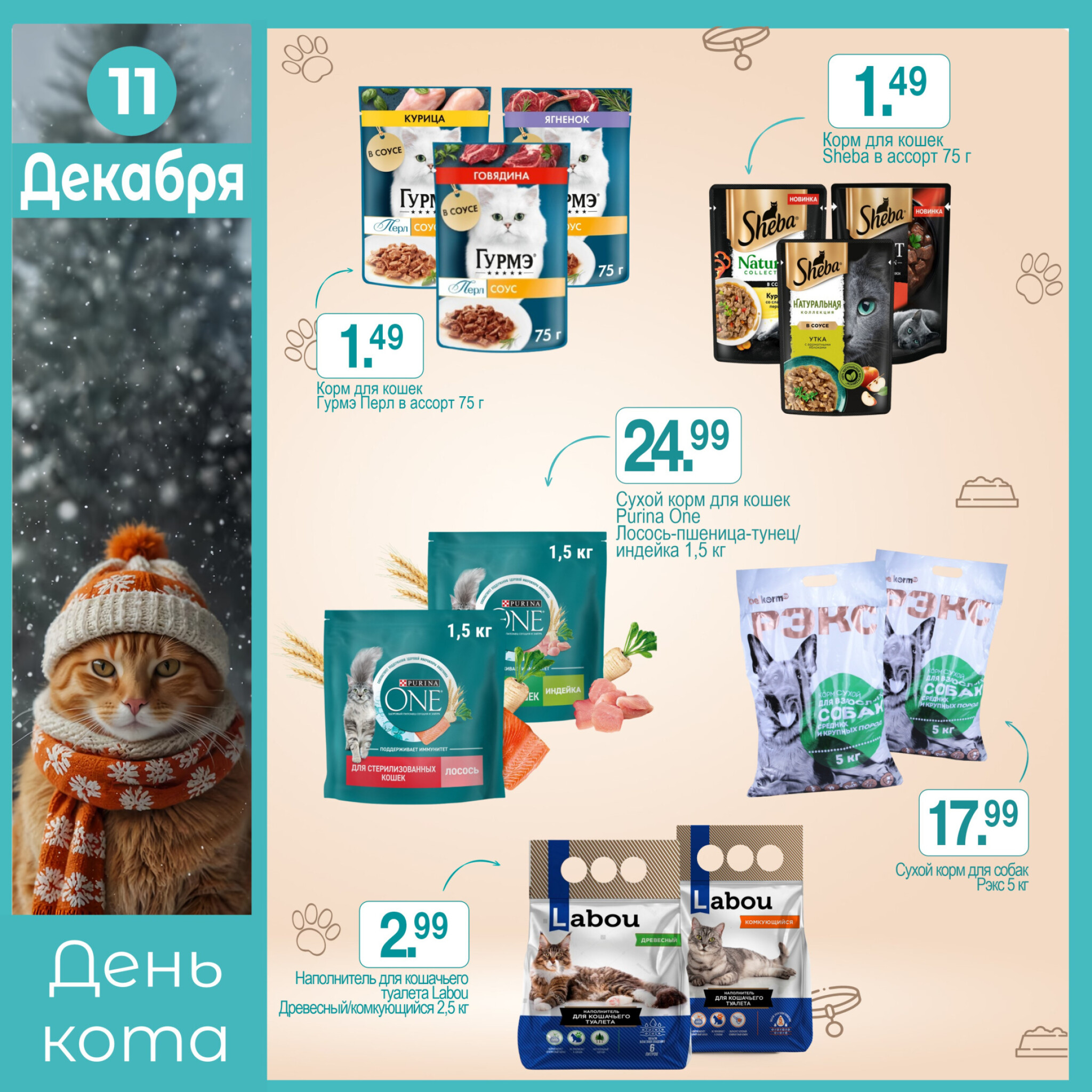 День кота! 11 Декабря 2025 1